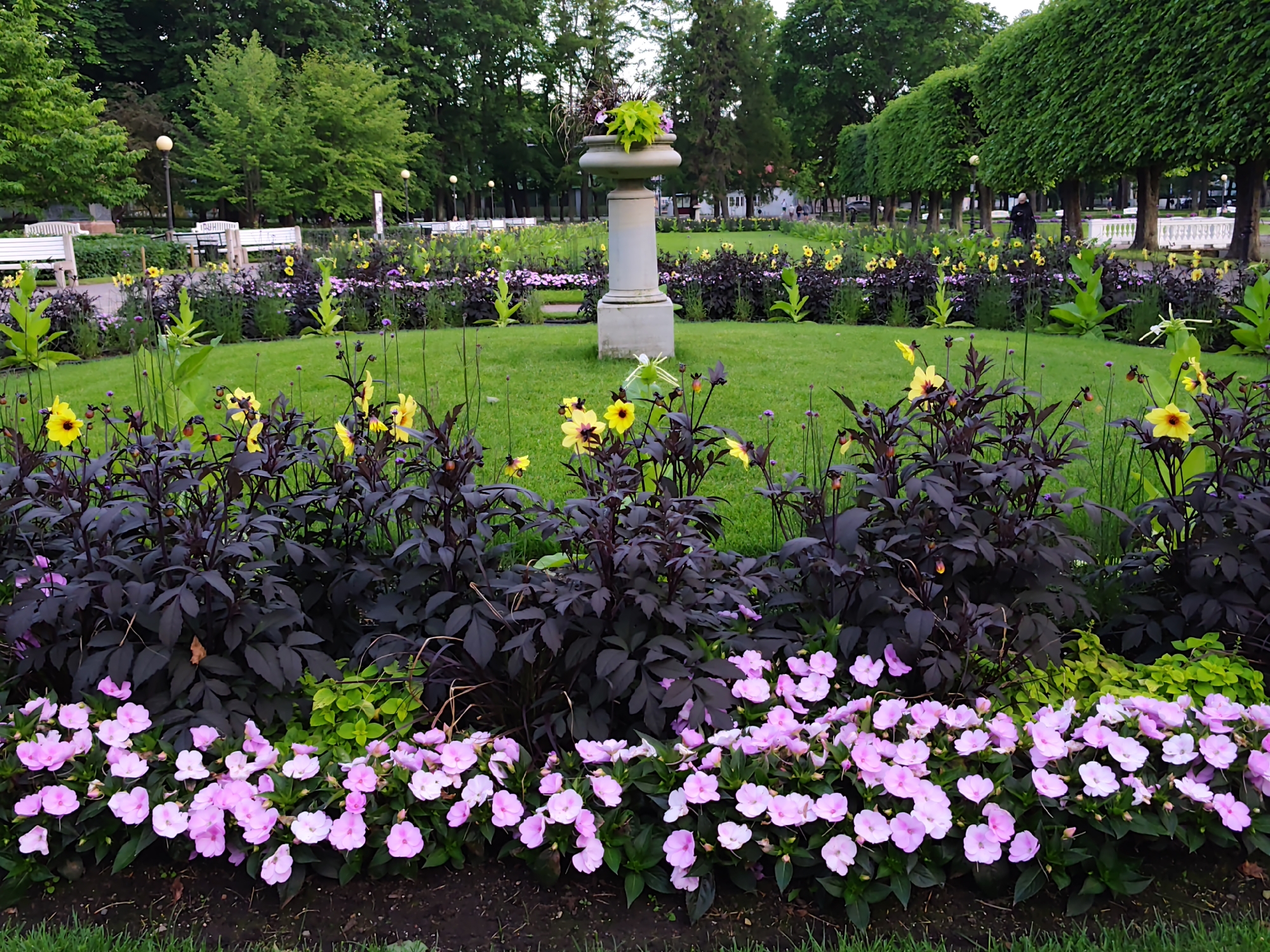 This image depicts a lush park scene in Tallinn, Estonia, likely Kadriorg Park. In the foreground, a meticulously manicured flower bed boasts a vibrant display of pink impatiens bordering a row of dark-leaved plants. Behind them, yellow dahlias and other smaller purple flowers add further color. A central, stone pedestal topped with a decorative planter holding greenery and pink flowers anchors the mid-ground. The background features a green lawn, mature trees, and in the distance, white park benches and lampposts. The overall impression is one of serene, well-maintained urban nature.