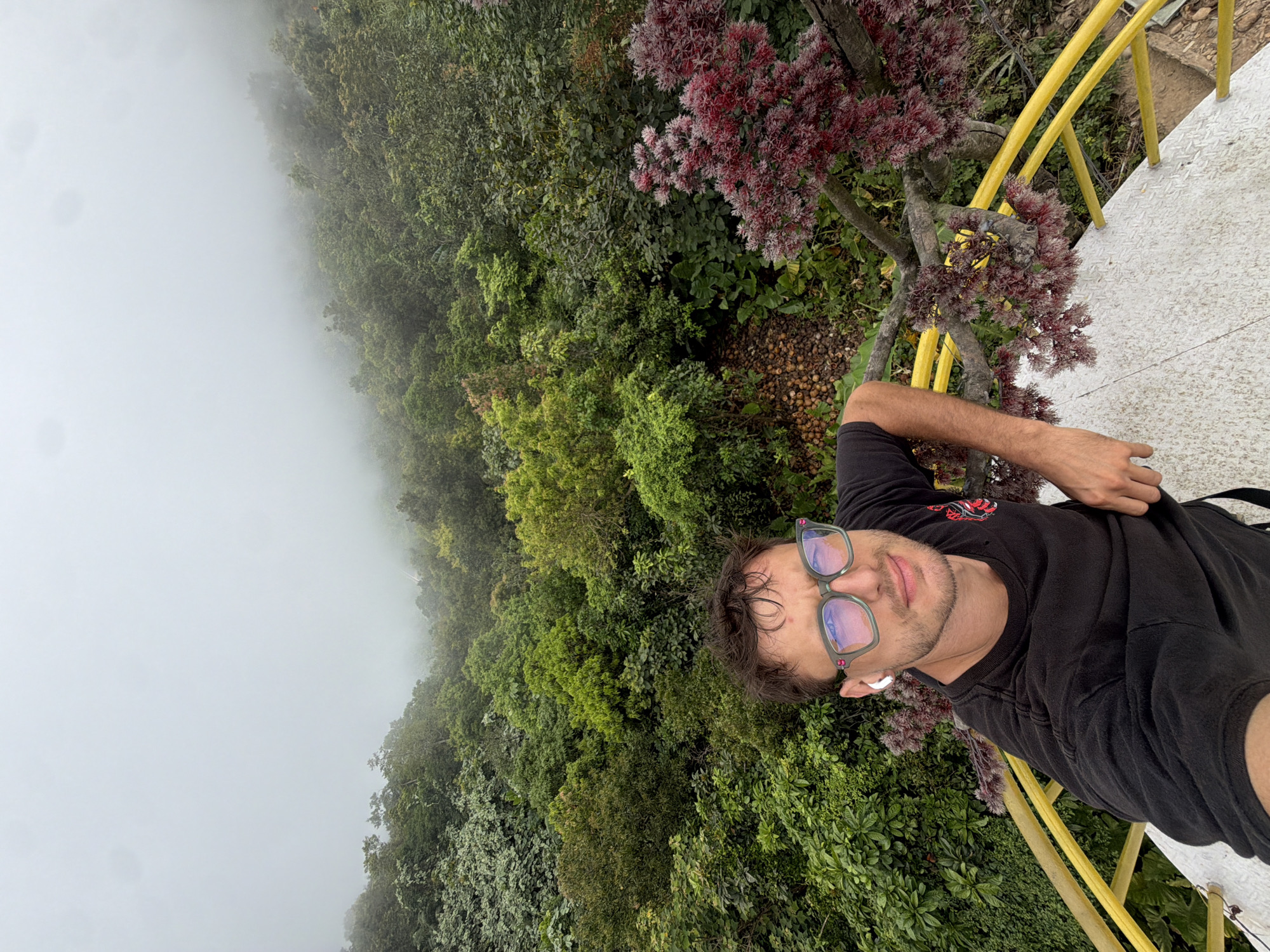 A man takes a selfie from a high vantage point. The man is light-skinned, has short brown hair, and wears blue-tinted glasses, a black T-shirt, and an in-ear wireless earbud. He is positioned on a white surface with a yellow railing, suggesting a lookout point or observation deck.
Behind the man, the view reveals a dense forest landscape, partially obscured by fog or mist, particularly on the left side of the frame. A tree with red flowers is near the man.
The location is the peak of Ba Na Hills, a tourist attraction in Đà Nẵng, Vietnam. The fog obscures some of the view of the city and the coastline below.