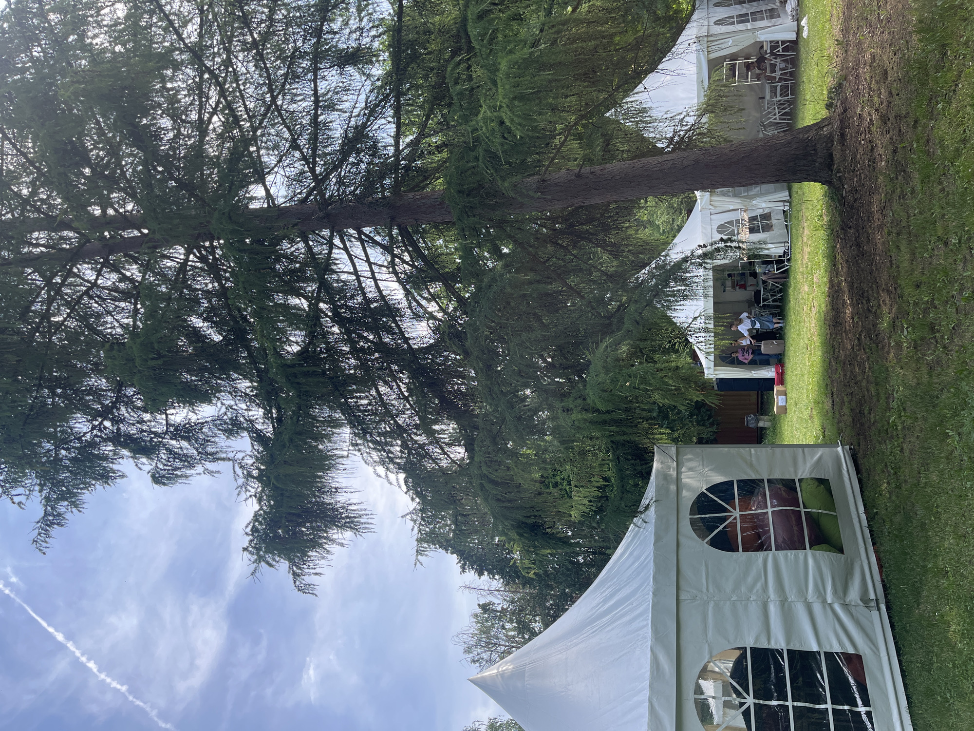 This outdoor scene captures a vibrant event unfolding under a bright, partly cloudy sky, featuring a prominent contrail from an aircraft. A large, mature coniferous tree with a thick, dark brown trunk and dense green foliage dominates the left side of the frame, providing ample shade.
Scattered across the grassy expanse to the right are several white event tents or marquees of various sizes. The tent closest to the viewer features arched, clear plastic windows, through which colorful cushions in shades of red, green, and black are visible, suggesting an area for relaxation or informal seating. Further back, another large tent hosts a small group of people seated at tables, indicating a social gathering or catering setup. Additional tents are visible in the background.
Several people are dispersed around the tents, moving and interacting, signifying an ongoing event. The ground is covered in green grass, with some areas appearing worn or muddy, possibly from foot traffic. The activity suggests an outdoor festival, fair, or private celebration taking place during the day, likely mid-morning or afternoon due to the bright, clear lighting. No specific text is visible within the image. The general atmosphere appears casual and lively. While the location is noted as Sremski Karlovci Municipality, Serbia, the image itself does not contain specific geographical markers.