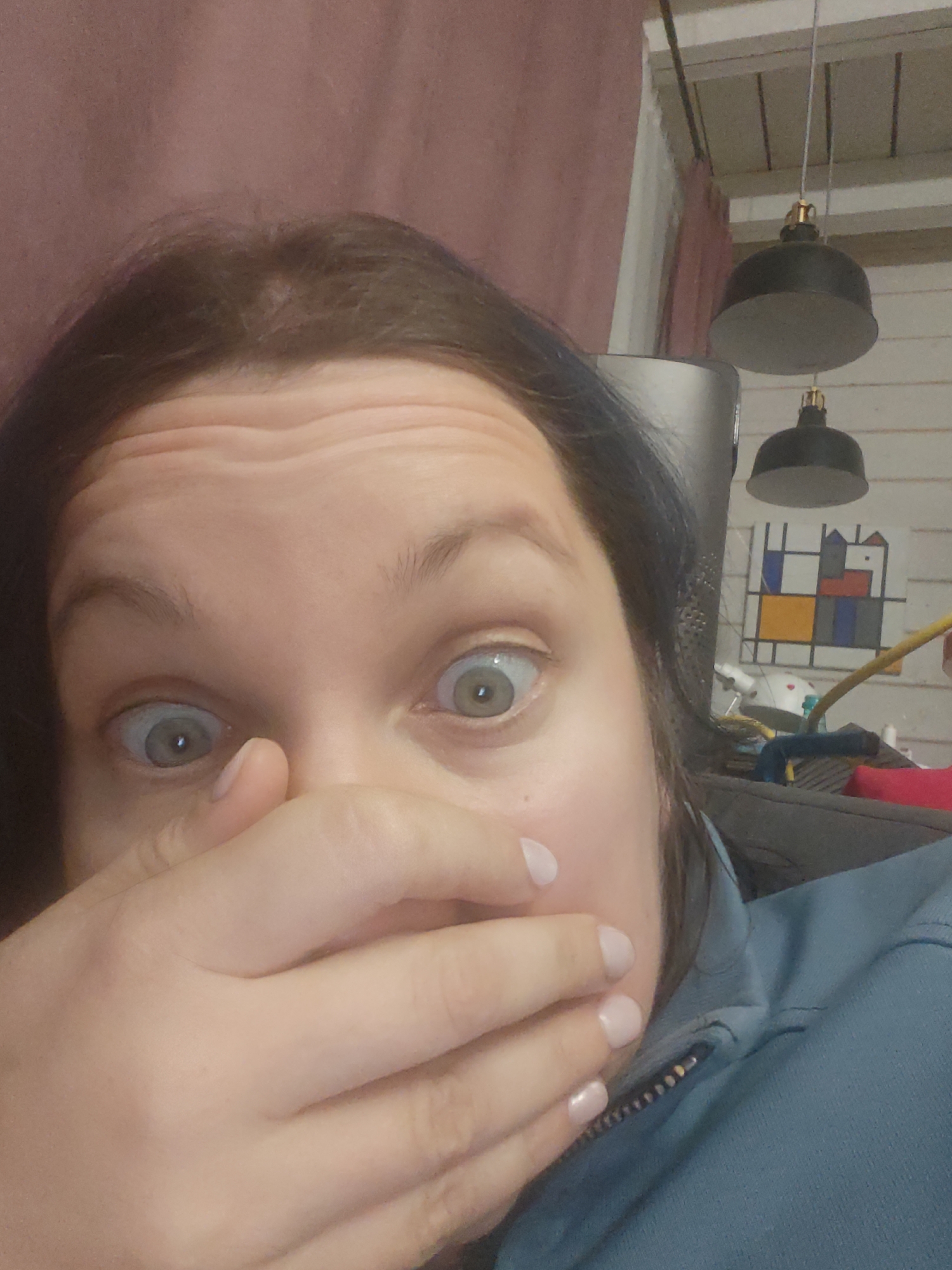 A close-up shot features a person with wide, expressive eyes, partially obscured by their hand covering their mouth in a gesture suggesting shock or surprise. The individual has fair skin, dark hair, and is wearing a blue zipped jacket. The background includes elements suggesting an indoor setting: visible parts of a curtain, pendant light fixtures hanging from a white wooden ceiling, and a framed abstract geometric artwork. Based on the query, the location is presumed to be within the area of Свистуха (кузяевский С/о), Russia, although no feature in the image confirms this specifically.