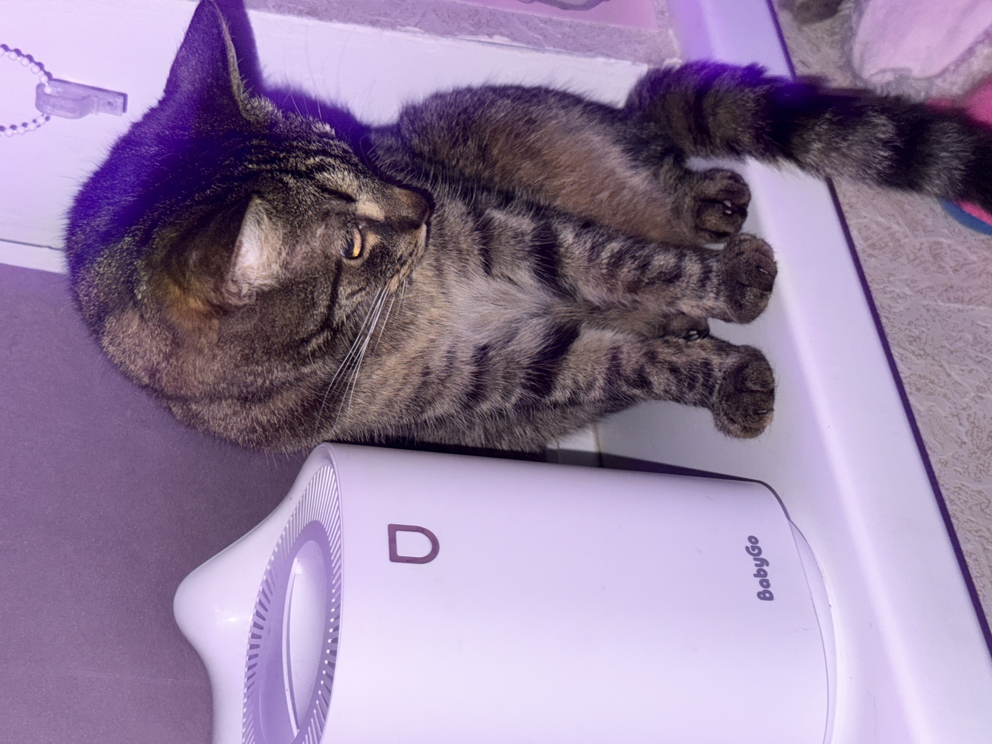 A tabby cat is sitting on a white surface next to a white, cylindrical electronic device. The cat is facing away from the camera, with its head down and to the right. The device has a ribbed opening at the top and a logo on its side. The background is a textured wall, and a beaded chain with a small, clear object hangs on the wall to the right. The scene is lit with purple light. The location is confirmed to be in the city of Pudomyagi, Russia.