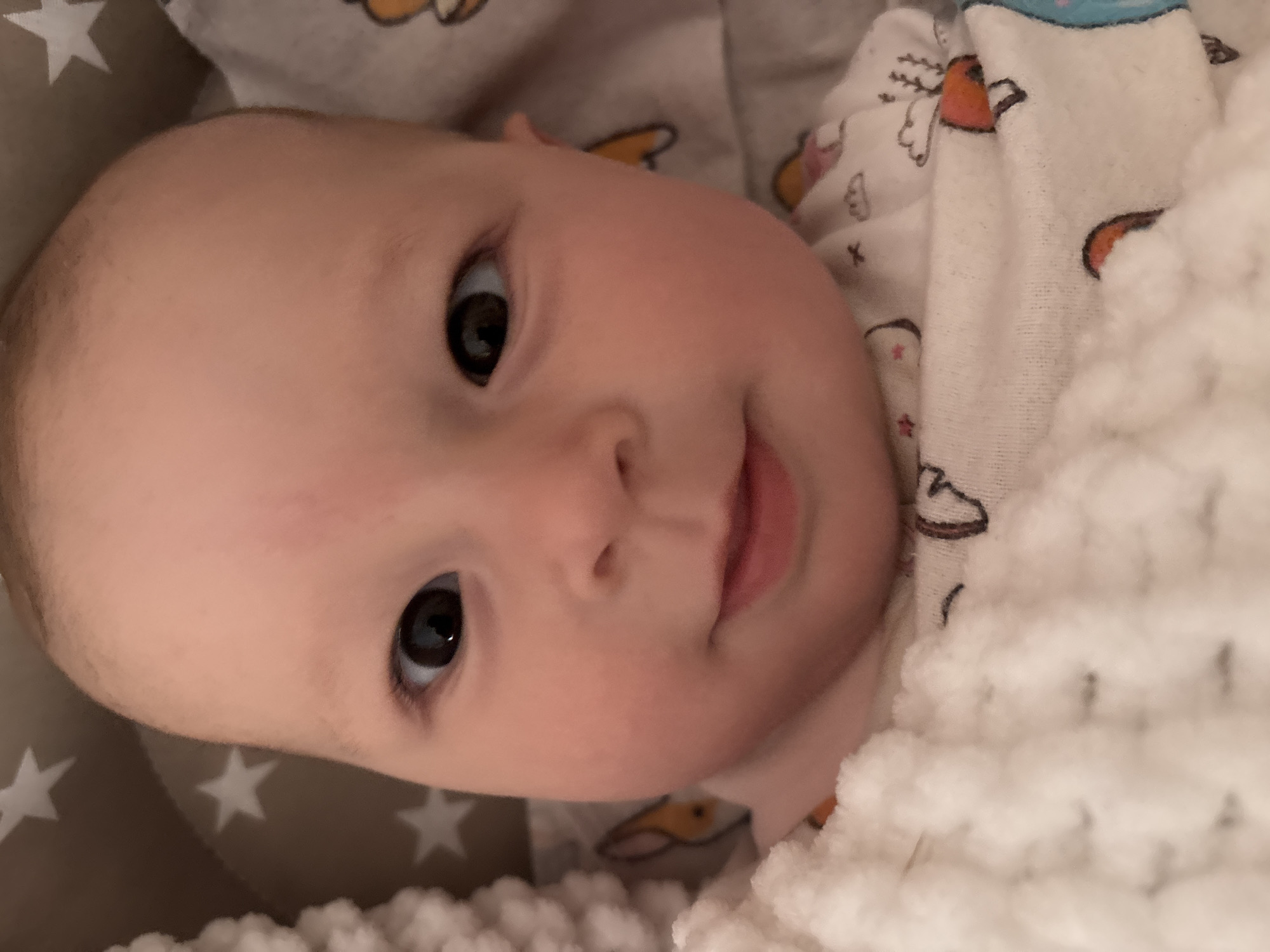 A close-up, eye-level portrait captures a baby lying down, looking directly at the camera with wide, dark eyes and a soft, gentle smile. The baby has fair skin and a calm, content expression.
The baby is dressed in a white garment, possibly sleepwear or a onesie, adorned with a light pattern of cartoon animals, resembling ducks or foxes with orange and brown details. To the baby's right and in the foreground, a soft, white, fluffy blanket is visible, suggesting the baby is nestled or covered. The baby's head rests on a grey fabric patterned with white stars, indicating a crib or bassinet liner.
The scene appears to be an indoor setting, likely taken in Sochi, Russia. The lighting is soft, suggesting an indoor environment without direct harsh sunlight. There is no visible text in the image.