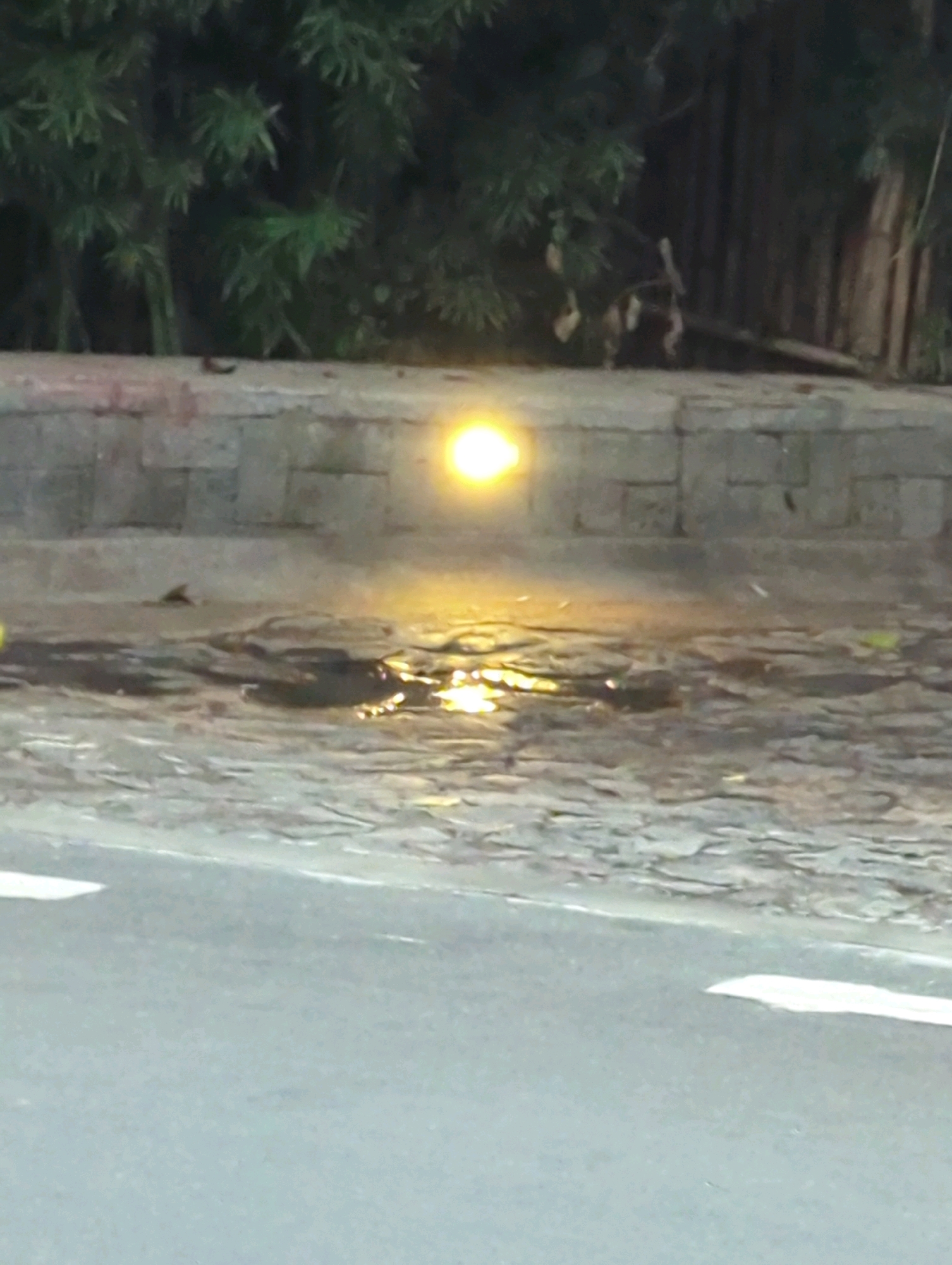 The image depicts a section of a paved road with a white line marking. Adjacent to the road is a low, textured stone wall. Above the wall, dense green foliage, possibly bamboo, is visible. A bright, yellowish light source is illuminated on the wall, casting a reflection on the wet ground below, which appears to be a mix of mud and debris. The scene is dark, suggesting it may be nighttime or early dawn. The location is identified as Musanze District, Rwanda. There are no visible people or specific actions taking place.