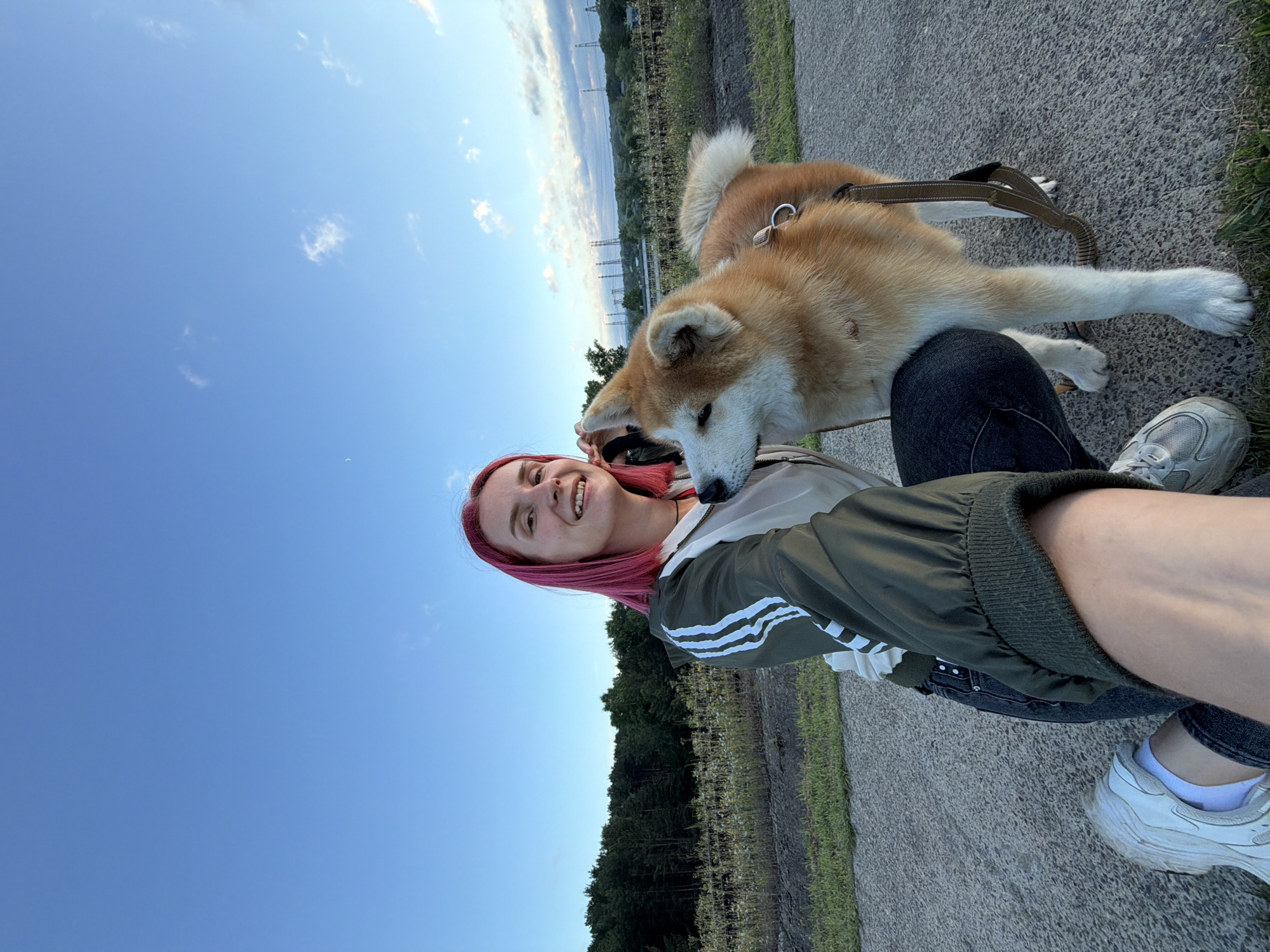 An adult female with bright pink hair kneels on a paved path, embracing an Akita dog. She is wearing a green and white track jacket, dark jeans, and white sneakers. The Akita, predominantly tan with white markings on its legs and muzzle, is leaning into her. In the background, a line of dense green trees stretches across the horizon under a bright blue sky with scattered clouds. Further in the distance, power lines and structures are visible. The scene appears to be an outdoor recreational area, possibly on the outskirts of Chaikovsky, Russia, given the presence of these industrial elements in the landscape.