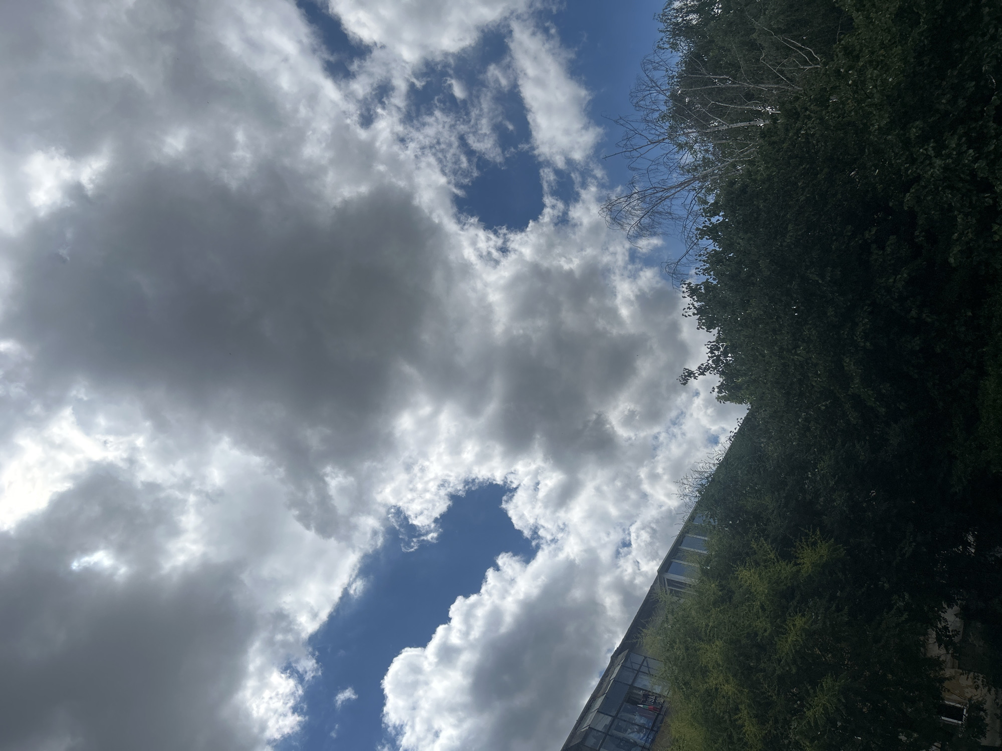 The image shows a partially cloudy sky with a mix of dark and light grey clouds and patches of blue sky. In the lower left quadrant, a building with a glass facade and angled roof is visible, appearing to be partially covered by green trees. The trees are dense and dark green, occupying the bottom portion of the image and extending up along the side of the building. Some bare, lighter-colored branches of a tree are visible in the upper right of the tree line, contrasting with the foliage. The scene is set against an outdoor urban backdrop. The location is Varna, Bulgaria.