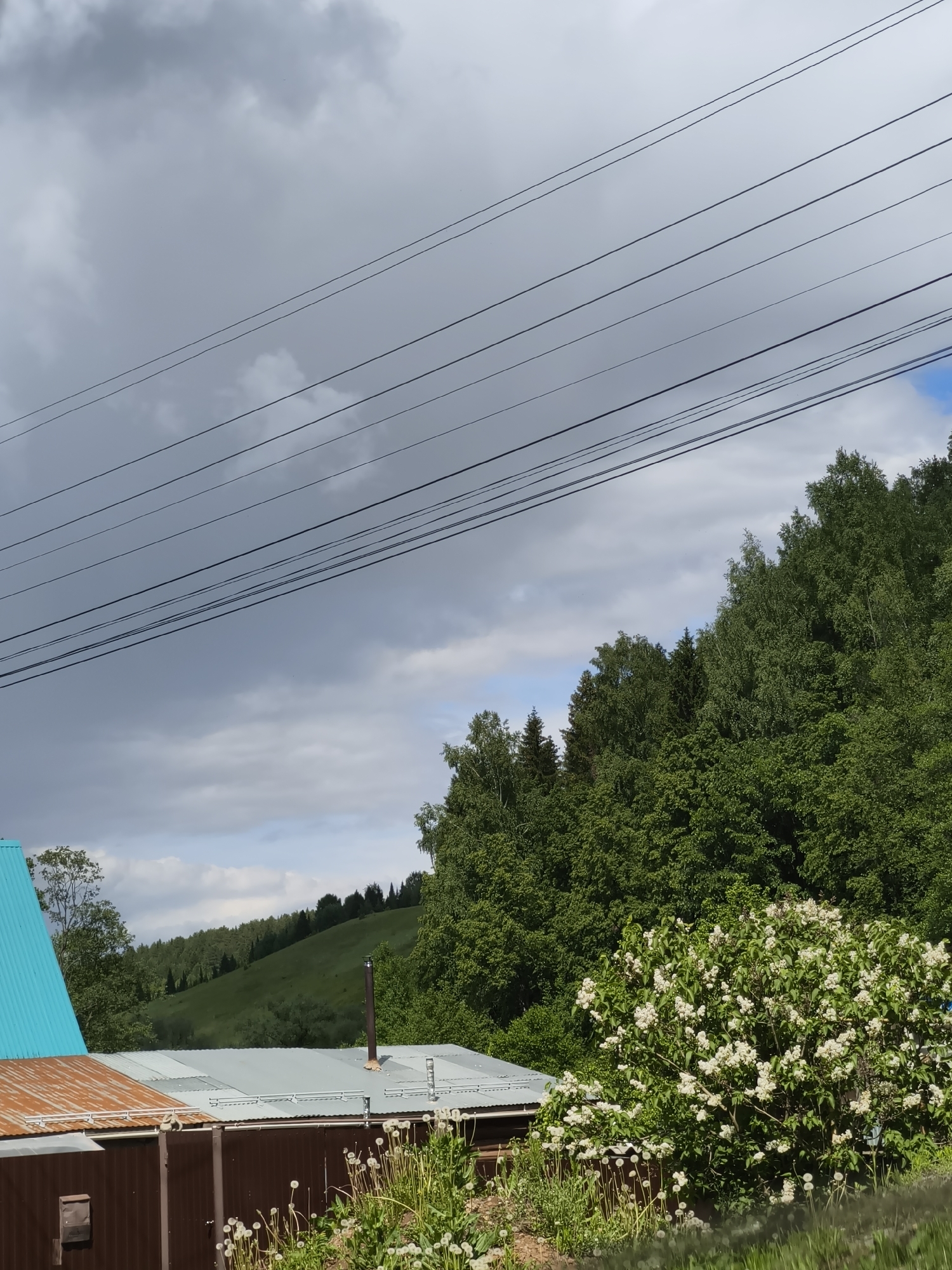 The image shows a landscape in Ольховка, Russia. Overhead are multiple power lines crossing the sky. The sky is mostly covered by grey storm clouds, but there are some patches of blue peeking through. Below the power lines, a dense green forest stands on the right. In the mid-ground, there is a building with different sections of roofing in blue, grey, and rust colors. The building has a brown side with a mailbox. In front of the building, there is a mix of greenery, including grass, weeds, and a large bush with white flowers. Beyond the building, there is a green hillside.