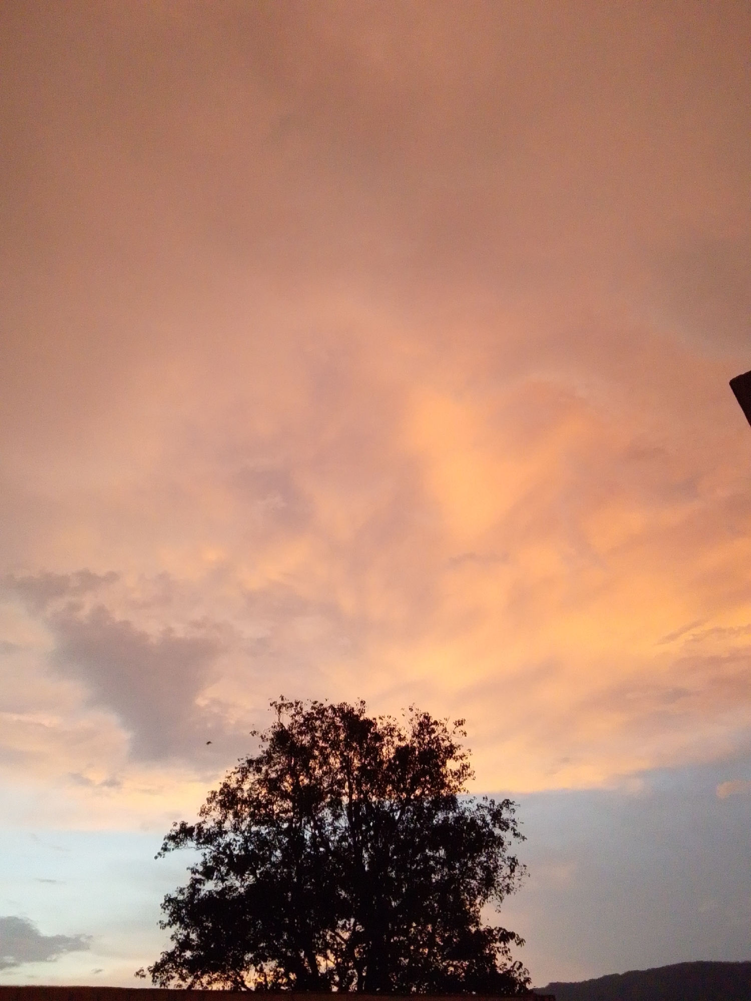 A silhouette of a tree stands against a vibrant sunset sky in Serti, Nigeria. The sky is filled with clouds painted in hues of orange, pink, and yellow, with some darker clouds also visible. A small dark object, possibly a bird, is captured mid-flight against the colorful sky. A dark, horizontal line at the bottom of the image suggests a roof or a wall, and a darker, hilly landscape is visible in the far distance.