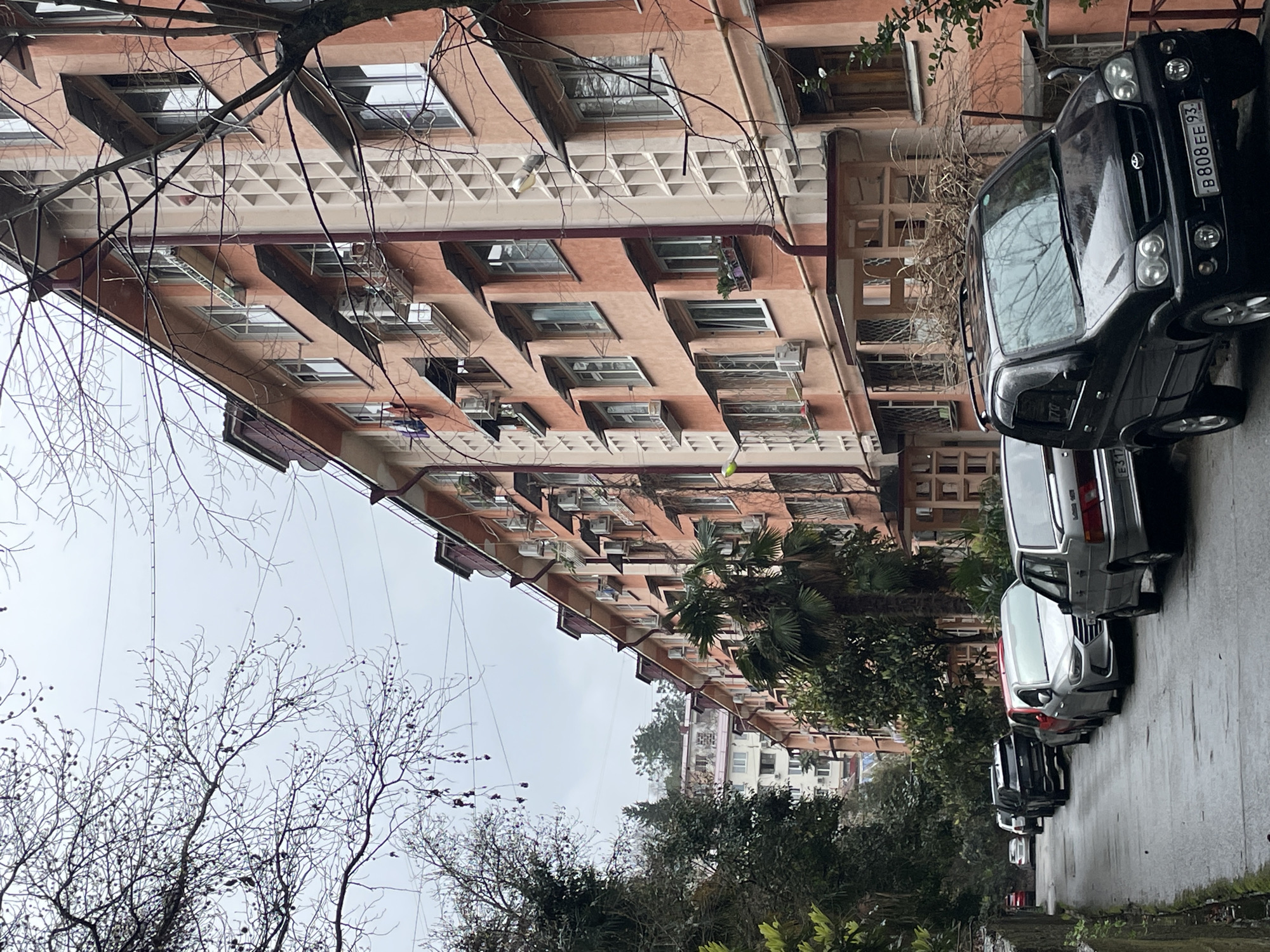 The image shows a street in Sochi, Russia, lined with cars and a multi-story residential building. The building has an orange facade with rows of windows and decorative elements. Several vehicles of various colors and models are parked along the wet asphalt road. Bare tree branches and some evergreen foliage are visible in the foreground. The sky is overcast, contributing to a muted overall tone. The license plate B 808 EE 93 is visible on a black SUV.