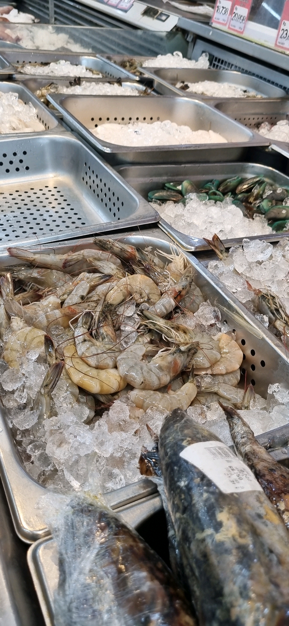 A close-up, vertical shot captures a refrigerated display case filled with fresh seafood on ice in what appears to be a market in Denpasar, Indonesia. The primary focus is a large metal tray overflowing with raw shrimp, their translucent bodies nestled amongst crushed ice. To the right and slightly behind the shrimp, a second tray contains mussels on ice, their dark shells contrasting with the white ice. In the foreground, partially wrapped in plastic, are two whole fish, their scales and darker coloring visible. A price tag is attached to one of the wrapped fish. The background shows more trays of seafood, also on ice, and part of the market's display structure. The lighting is bright and even, illuminating the fresh seafood.