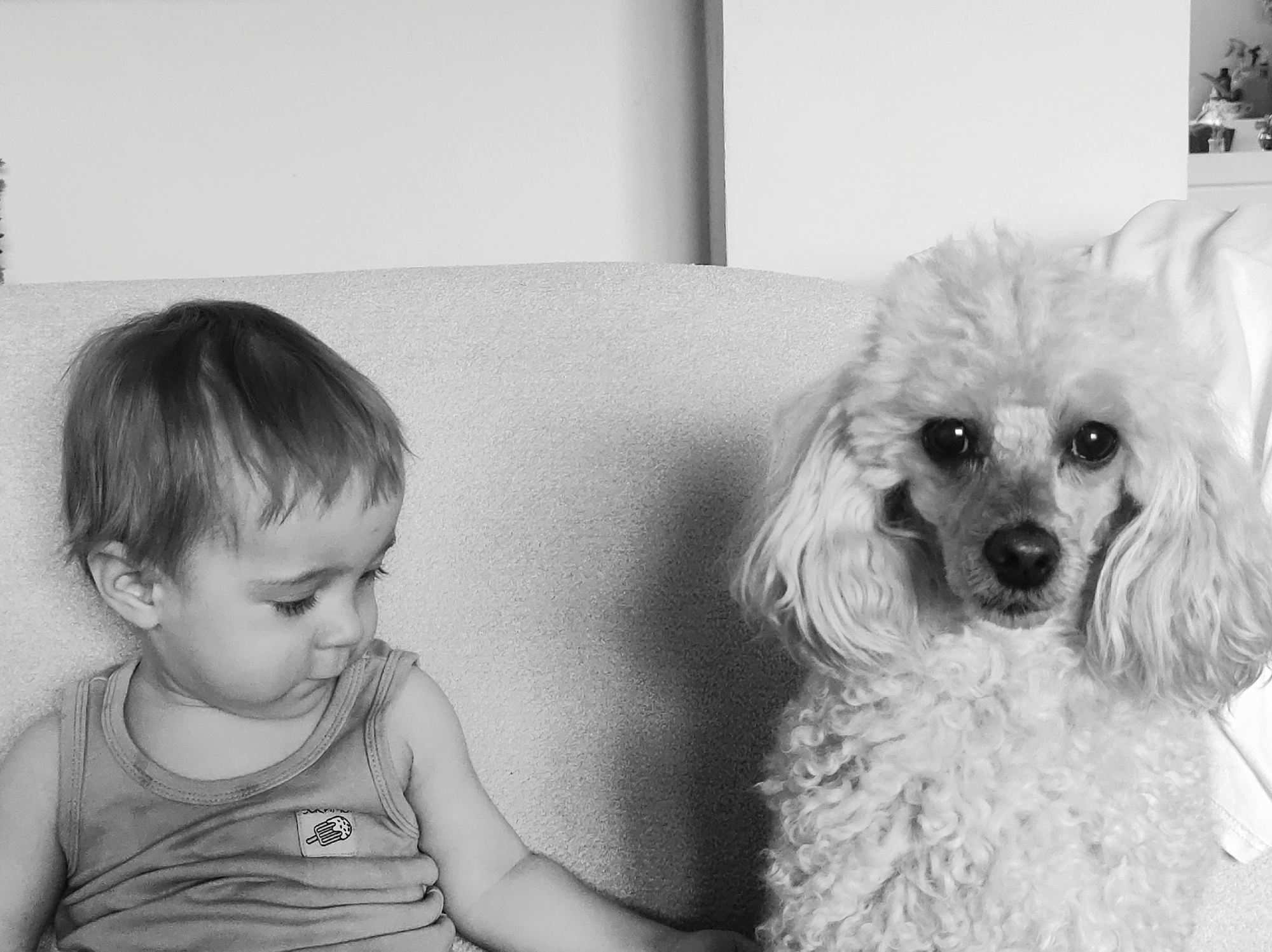 A grayscale image shows a young child and a poodle sitting on a light-colored couch. The child, on the left, is wearing a tank top with a graphic on it. The child is looking down and slightly to the right. The poodle is on the right side of the image, looking directly at the camera. The background includes a white wall and a shelf with decorative objects. The location is Unknown, Unknown.