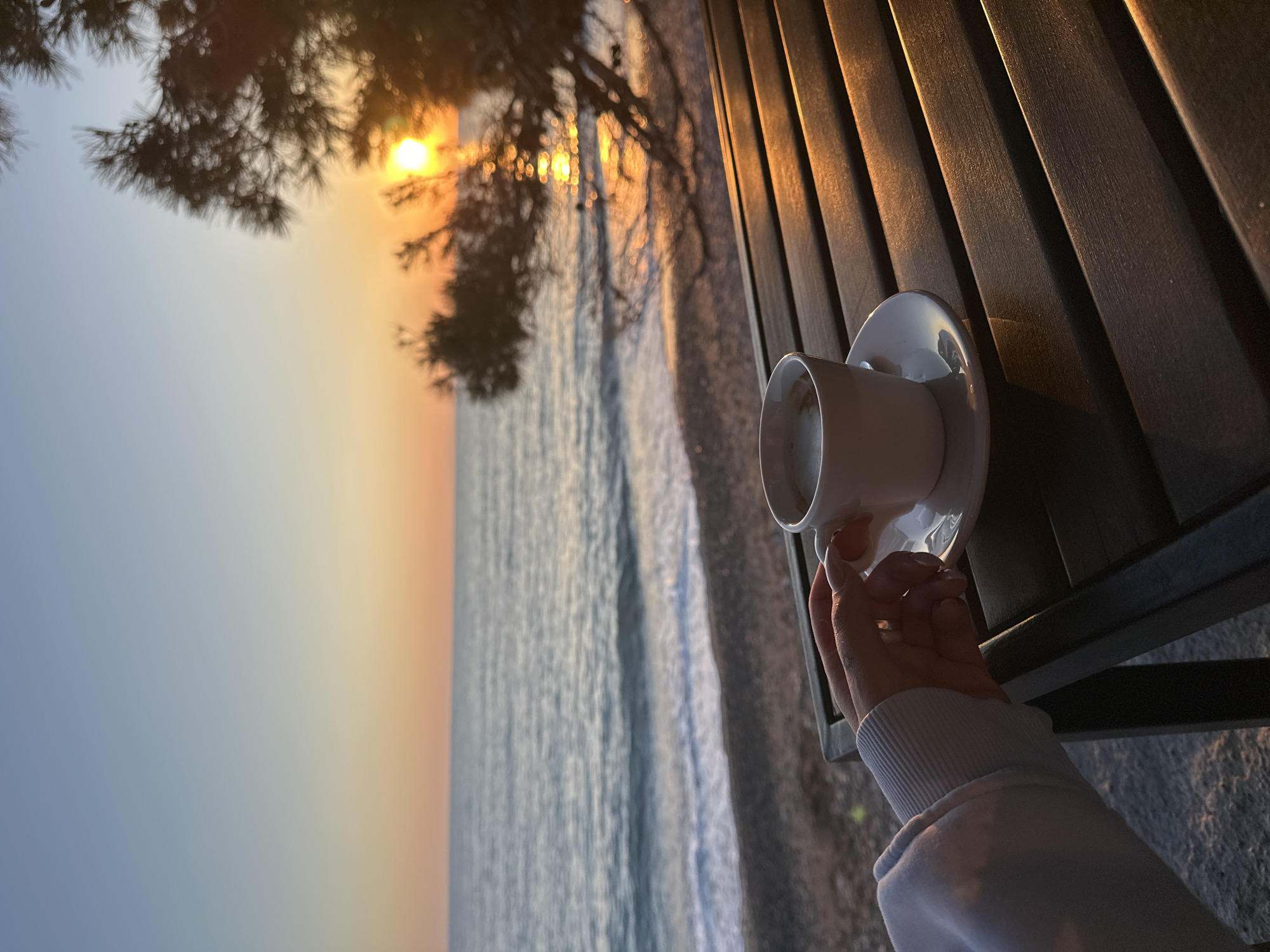 The image shows a coastal scene at sunset, likely in Bar, Montenegro, based on the typical Adriatic coastline. The sun is setting over the sea, visible through the branches of a tree. In the foreground, a person's hand holds a white cup and saucer on a wooden table or bench. The sea has small waves. The sky transitions from blue to orange and yellow near the horizon.
