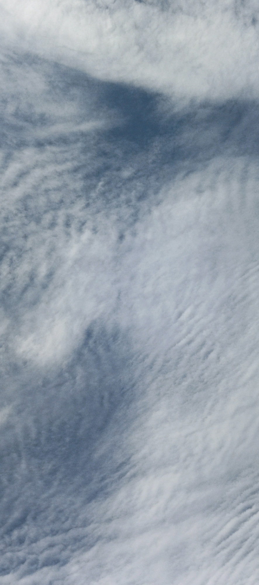 The image is a close-up, vertical, full-frame shot of the sky, filled with wispy, textured clouds. The clouds exhibit a gradient of tones, ranging from bright white to deep, shadowy blues, suggesting variations in density and thickness. Some areas show a feathery, streaky appearance, while others are more diffuse and billowy. The lighting indicates it is daytime, with the sun likely positioned above and out of frame, illuminating the clouds from behind or from the side. There are no visible landmarks, people, or man-made objects, indicating that the image solely captures an atmospheric phenomenon. The scene does not contain any elements that can be specifically linked to the city of Pasi Rawa, Indonesia.