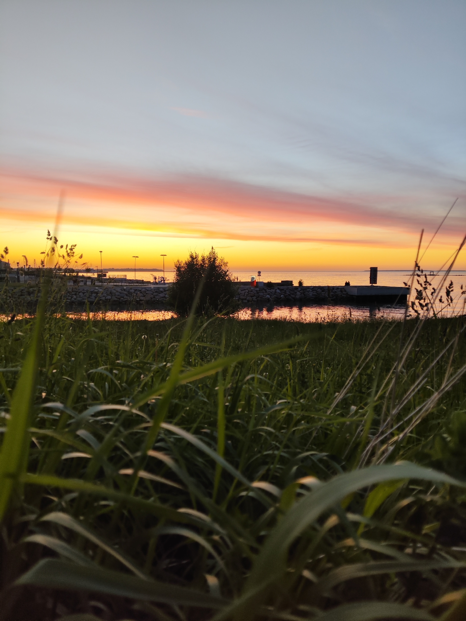 The image depicts a sunset view along the Tallinn Bay waterfront, likely in the Pirita district, known for its coastal promenade and recreational areas. In the foreground, tall green grass blades are prominently blurred, creating a natural, foreground bokeh effect. Behind the grass, a calm body of water reflects the vibrant colors of the sky, with hues of orange, pink, and yellow dominating the horizon. A stone embankment lines the water's edge, with a few scattered streetlights visible along the path. Further back, a tree stands silhouetted against the colorful sky, and a modern pier structure extends into the bay. A few individuals can be seen standing and seated on the pier, observing the sunset. The sky transitions from a pale blue at the top to the intense sunset colors near the horizon, indicating it is either sunrise or sunset.