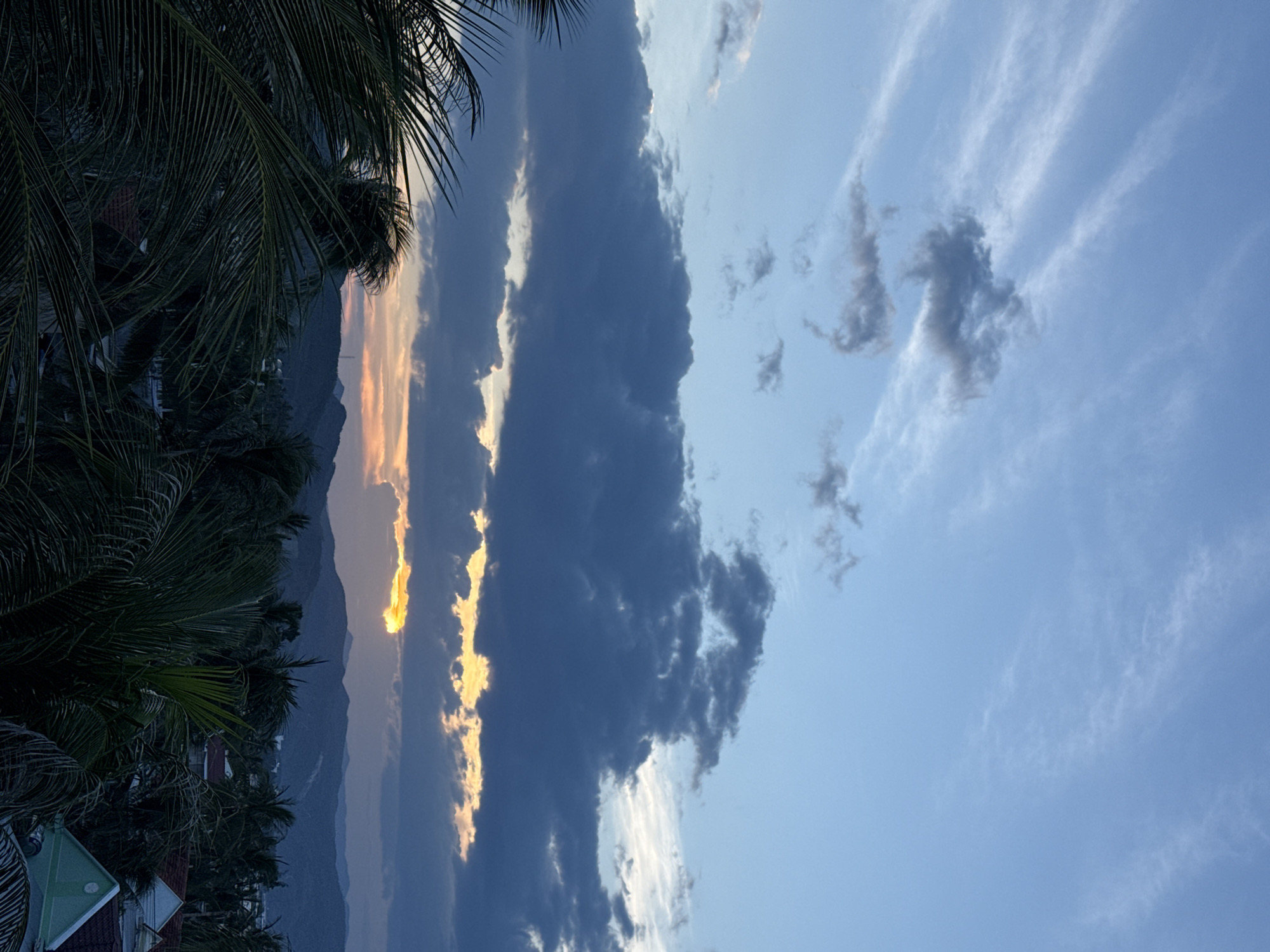 An outdoor, vertical, medium shot captures a dusk scene with a dramatic sky and silhouetted palm fronds in the foreground. The sky is a gradient of blue, transitioning from a pale blue at the top to a darker, more muted blue near the horizon. Wispy white clouds stretch across the upper portion of the frame, while heavier, dark gray clouds gather in the middle. A sliver of bright orange sunlight peeks through a gap in the clouds near the horizon, illuminating the undersides of some clouds with a golden glow.
Beneath the sky lies a landscape of dark, rolling hills, some of which are obscured by a dense canopy of palm trees. The palm fronds, some of which are in sharp focus in the foreground, are dark green and cast shadows, creating a sense of depth. In the distance, hints of buildings and structures can be seen amongst the trees. The overall impression is one of a tropical setting at the end of the day.
