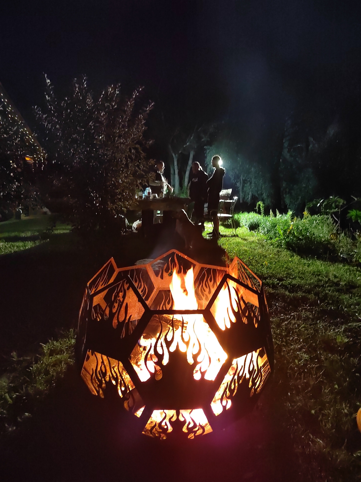 In the city of Biysk, Russia, at night, a fire pit burns in the foreground, its metal exterior adorned with flame cutouts. Beyond the fire pit, a group of people are gathered around a table with benches in a grassy area with trees and foliage. The scene is illuminated by the fire and ambient outdoor lighting, creating a warm and inviting atmosphere.