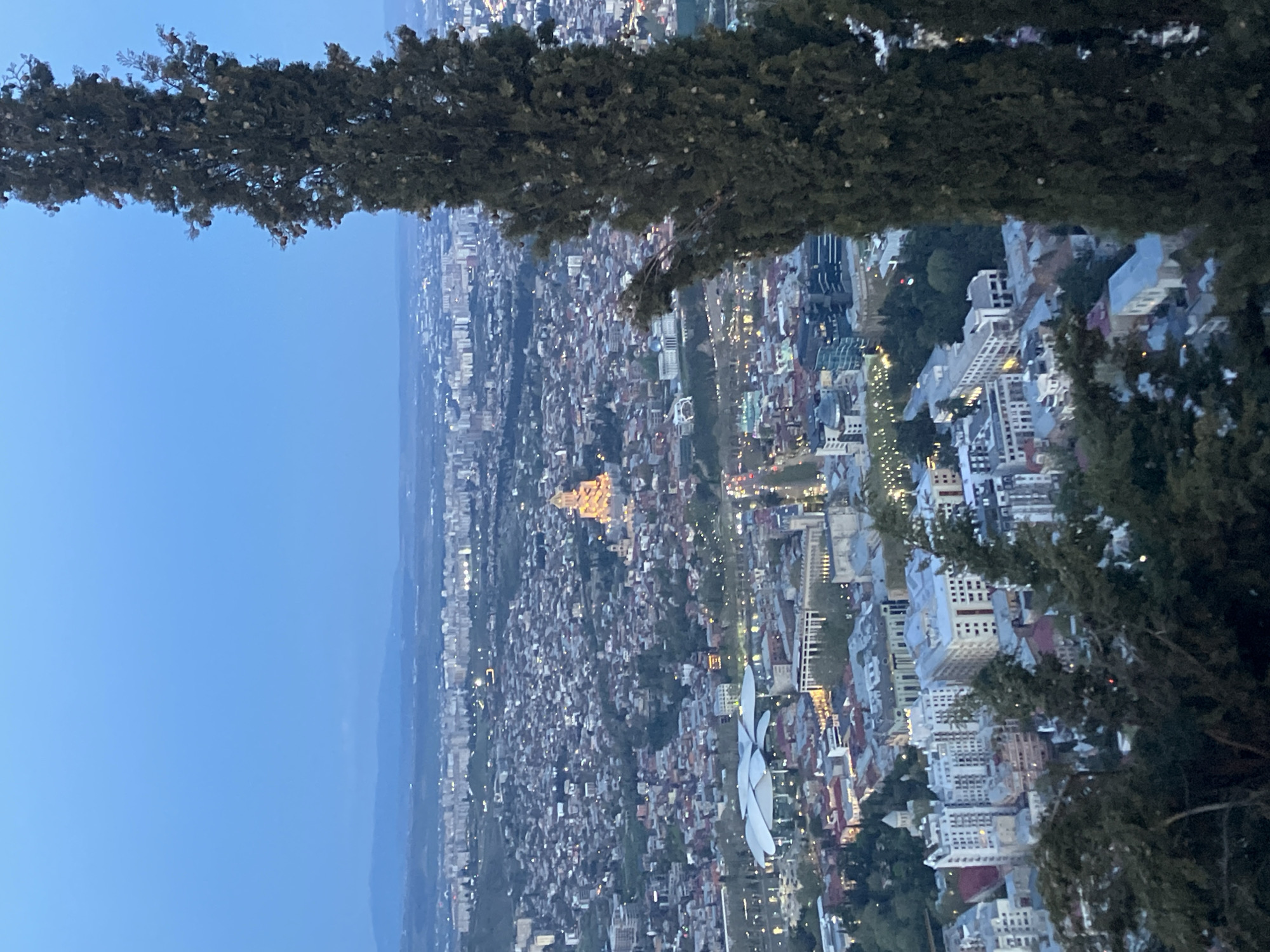 The image captures a panoramic view of a city from a high vantage point, likely at dusk or early night. Dense, dark green foliage of coniferous trees, possibly cypress, frames the scene from the top and right edges of the correctly oriented picture. The sky above is a clear, deep blue, transitioning from a lighter hue near the horizon to a darker shade overhead, indicating twilight.
The sprawling urban landscape below is dotted with numerous illuminated city lights, creating a sparkling tapestry across the buildings. In the mid-left portion of the city, a prominent golden-hued structure with a distinctive dome-like roof stands out, brightly lit. This is identifiable as the Holy Trinity Cathedral of Tbilisi (Sameba Cathedral). To its right, a distinctive modern architectural structure is visible, characterized by two large, white, curved, shell-like or tube-like elements, consistent with the Music Theatre and Exhibition Hall (Rike Concert Hall) in Rike Park.
The city comprises a mix of buildings of various heights and architectural styles, extending into the distance towards hazy mountains. No people or specific activities are discernible within the frame, and no text is visible. The scene evokes a sense of peace and vastness, with the cityscape glowing under the fading light. The visible landmarks confirm the location as Tbilisi, Georgia.