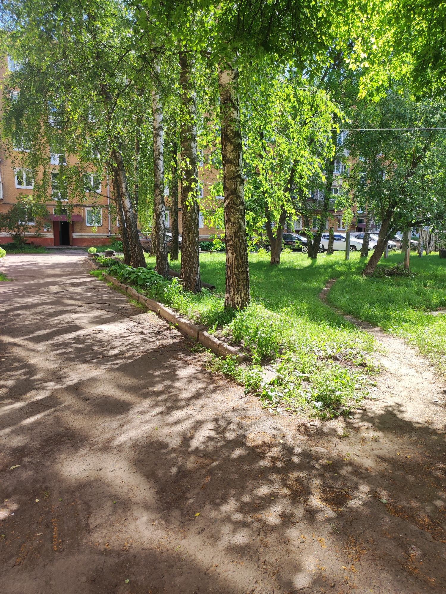 The image depicts an exterior scene in a residential area, likely a courtyard of an apartment building. In the foreground, a dirt path with scattered leaves and debris curves to the right, casting dappled shadows from overhead trees. A low concrete border separates the path from a grassy area with weeds.
To the left, a multi-story apartment building with a light orange facade and numerous white-framed windows is visible. An open doorway with a red awning is prominent. Several tall birch trees with distinctive white bark and abundant green foliage line the area between the path and the building.
Further to the right, more green grass and trees are visible, with several parked cars, including a black sedan and a white SUV, in the background. The overall impression is a sunny day in a somewhat overgrown urban green space. The scene is devoid of any people. The location is identified as Pryluky, Ukraine, suggesting an urban residential setting.