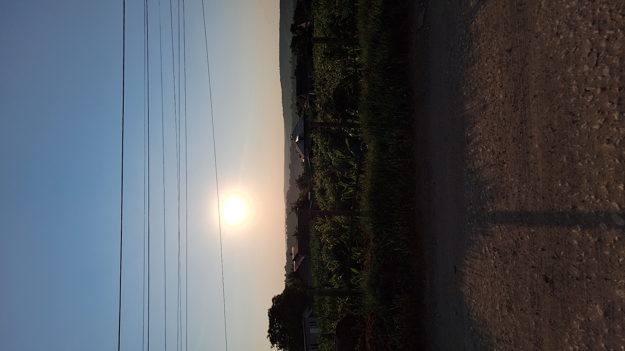 A rural landscape scene is captured in Sărata-Galbenă, Moldova, under a clear, pale blue sky with the sun low on the horizon. The sun, a bright, luminous orb, is positioned in the upper-middle section of the frame, casting a warm, soft light. Five parallel power lines stretch horizontally across the sky.
Below the sky, the middle ground features a village with several houses, their roofs visible amidst lush green vegetation. A fence, constructed from wooden posts and wire, separates a cultivated field from the foreground. The field is densely planted with crops, possibly corn, with tall stalks reaching upwards. A large tree with dark foliage is situated to the left of the frame, near the houses.
The foreground is a dirt road with visible pebbles and tire tracks. The road is partially in shadow, with a distinct shadow of an unseen object falling across it from the left. The overall impression is one of a tranquil, late afternoon or early evening in a rural setting. No people or animals are visible in the image.