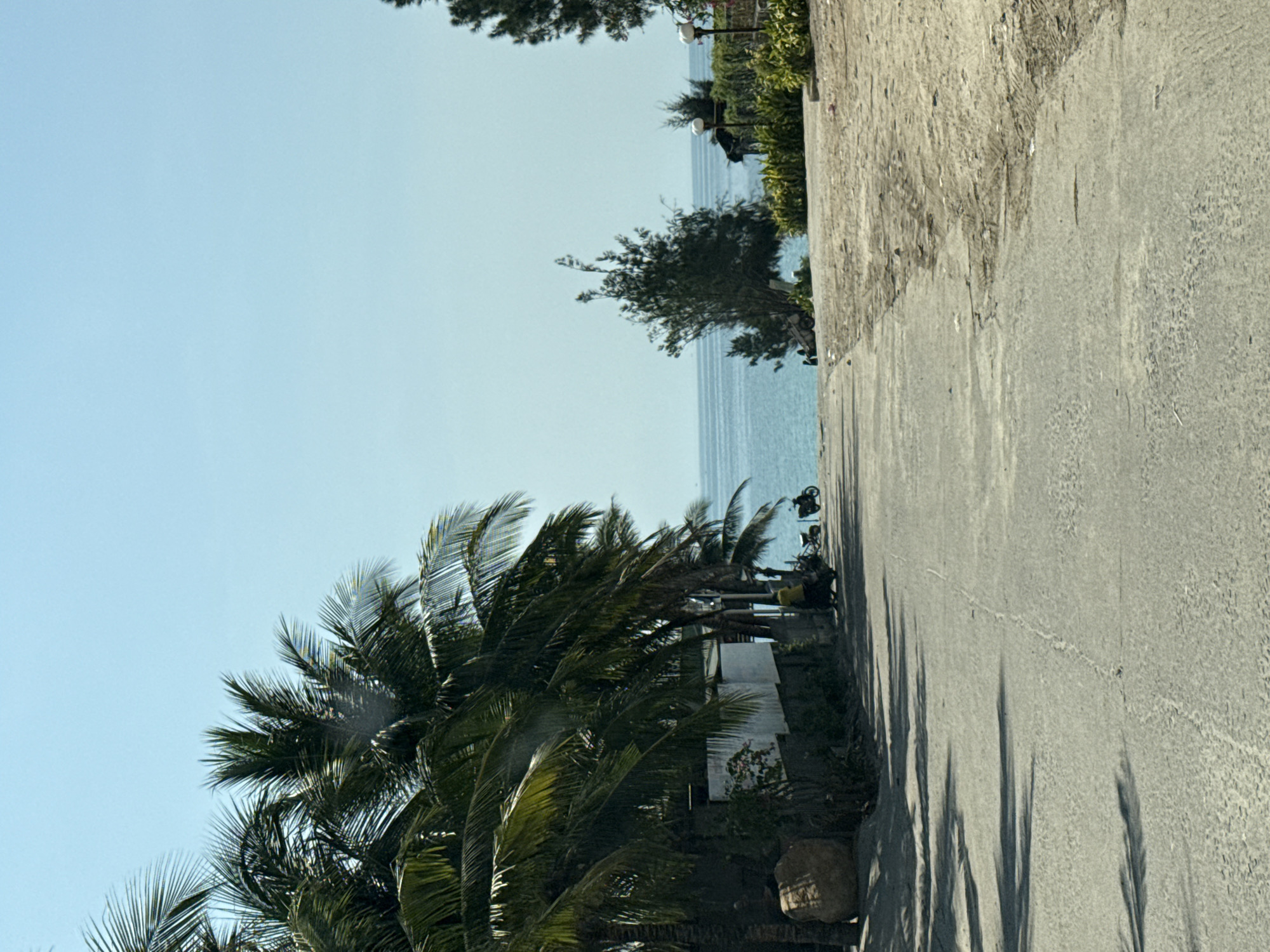 A street view, apparently in Dong Ninh Hoa Ward, Vietnam, shows a concrete road running along a waterfront. The road is gray and textured, stretching towards the right. Adjacent to the road is a line of trees, predominantly palm trees with visible green fronds. These trees cast long shadows across the road. Beyond the trees is a body of water, likely the sea, stretching to the horizon. The sky is a clear, light blue. In the distance, more trees and possibly buildings can be seen along the shoreline. Some motorcycles or scooters are parked near the trees. The image appears to be taken during daylight hours, under clear, sunny conditions.
