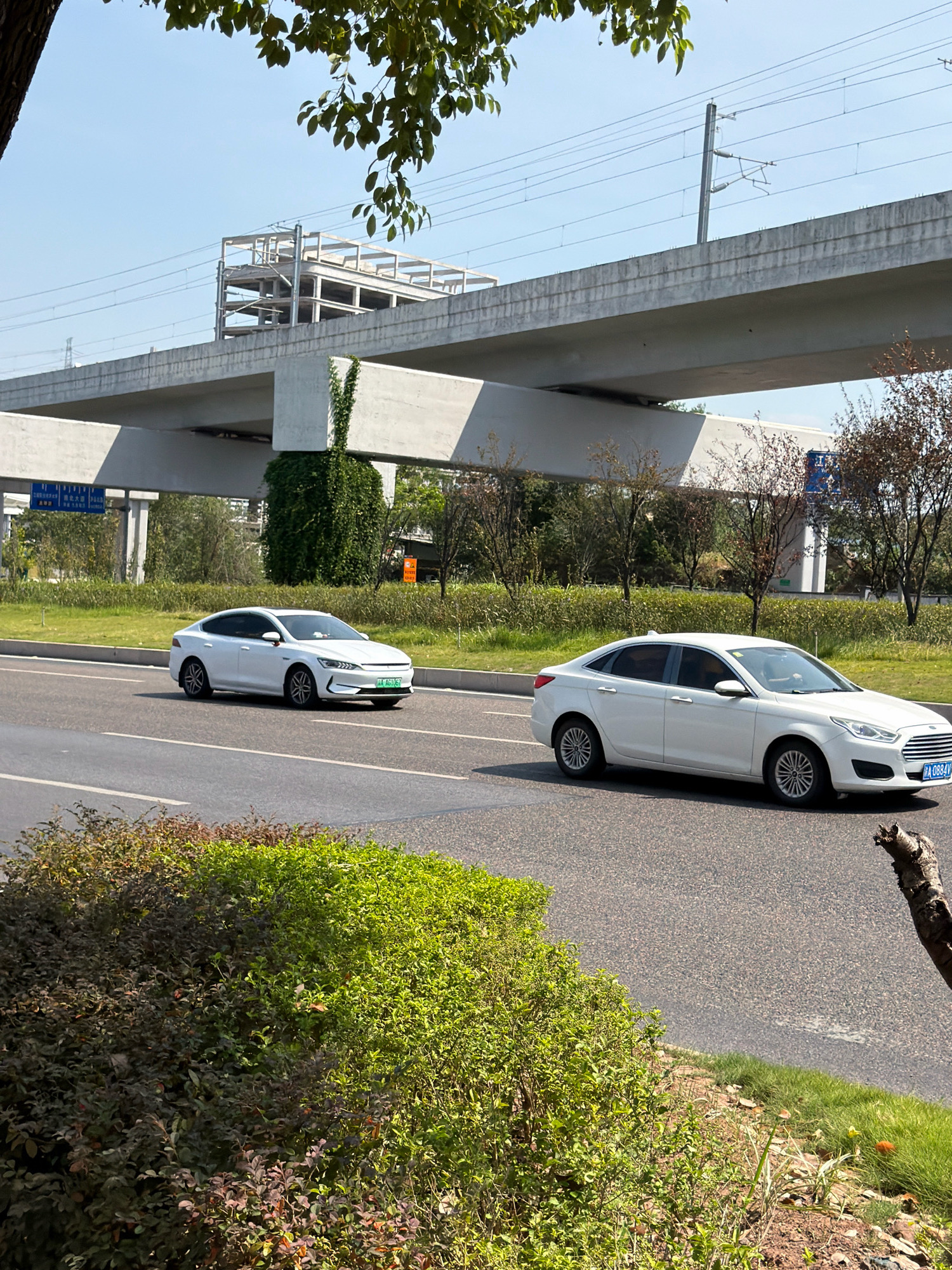 This image shows a street scene in the city of Jiangjin, China, on a clear day. In the foreground, a lush green bush is on the left, and to the right, a tree trunk is visible. The street itself is paved asphalt. Two white sedans are driving on the road. The car on the left is moving away from the viewer, while the car on the right is moving towards the viewer. In the background, a large elevated concrete structure, possibly an overpass or part of a building under construction, dominates the scene. Overhead, power lines are strung across utility poles. Green grass and trees line the side of the road, with some smaller trees and bushes also visible. A blue sign with Chinese characters is mounted on a pole near the left side of the road. The sky is clear blue.
