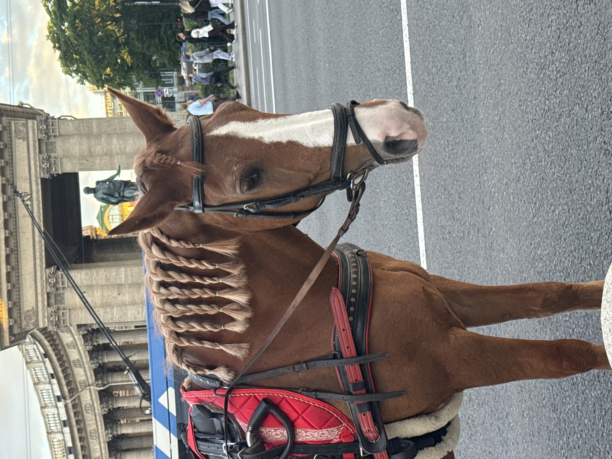 A medium shot captures a brown horse with a white blaze on its face, standing on a paved road. The horse is adorned with braided hair along its mane, and it wears a red saddle pad and black leather harness. In the background, a grand stone building with columns and arched windows, likely part of a historical architectural complex in Saint Petersburg, Russia, is visible. People are walking on a sidewalk in the mid-ground, and trees and more buildings are further in the distance. The sky is overcast with hints of soft light.