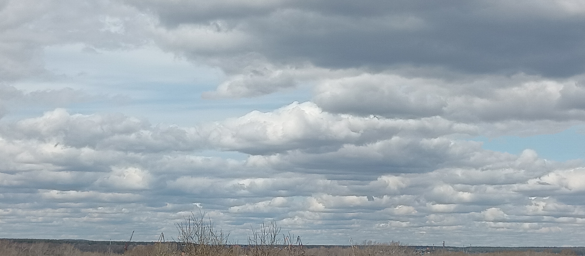 The image presents a wide view of a sky filled with multiple layers of clouds, dominating the upper three-quarters of the frame. The clouds vary in color from bright white to various shades of light and dark grey, indicating different densities and light conditions. Patches of pale blue sky are visible in areas where the cloud cover is less dense, suggesting a partly cloudy or overcast day.
Below the expansive sky, a low, distant horizon shows a narrow strip of land. This land appears to be a forested or wooded area, characterized by indistinct, dark green and brown forms of trees, some of which seem to be bare branches, suggesting an autumn or winter season. In the immediate foreground, sparse, delicate branches of what appear to be low-growing, dormant vegetation rise from the bottom edge of the image. Faintly discernible along the distant treeline are a few structures, possibly industrial cranes or utility towers, though their details are too indistinct to confirm.
The scene is a static outdoor landscape, captured during daytime under natural light. There is no visible activity, people, or text in the image. The overall impression is one of a vast, tranquil natural environment dominated by the sky and its cloud formations.