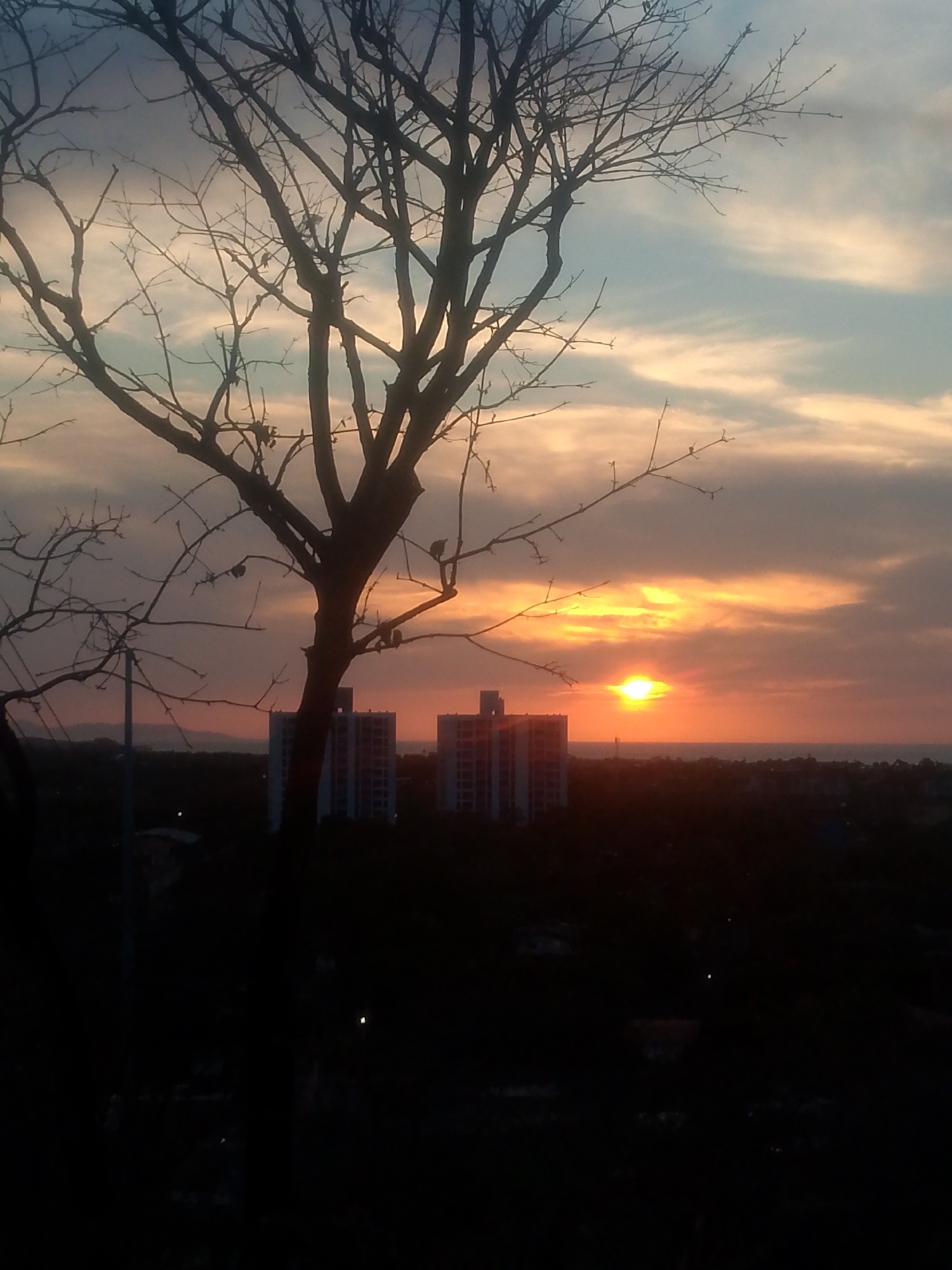 The image captures a dramatic sunset over a coastal urban landscape in Juan Griego, Venezuela. A large, bare tree dominates the left and central foreground, its intricate, leafless branches silhouetted against the colorful sky. Several small birds are perched within its branches.
The sun, a brilliant orange-yellow orb, is low on the horizon, casting an intense glow across the clouds. These clouds are illuminated with vibrant hues of orange, yellow, and red near the horizon, transitioning to softer blues, pinks, and greys higher up, creating a striking gradient.
In the mid-ground, two multi-story buildings stand, largely silhouetted against the bright horizon. Beyond these structures, a sprawling urban area extends towards a discernible coastline and the sea, meeting distant hills or mountains on the left. The foreground and ground level below the buildings are plunged into deep shadow, with only a few faint artificial lights beginning to appear in the darkening landscape.
The scene depicts a static moment at dusk, highlighting the natural beauty of the sunset contrasting with the urban environment. No human activity or visible text is present. The overall impression is one of tranquility as day transitions to night.