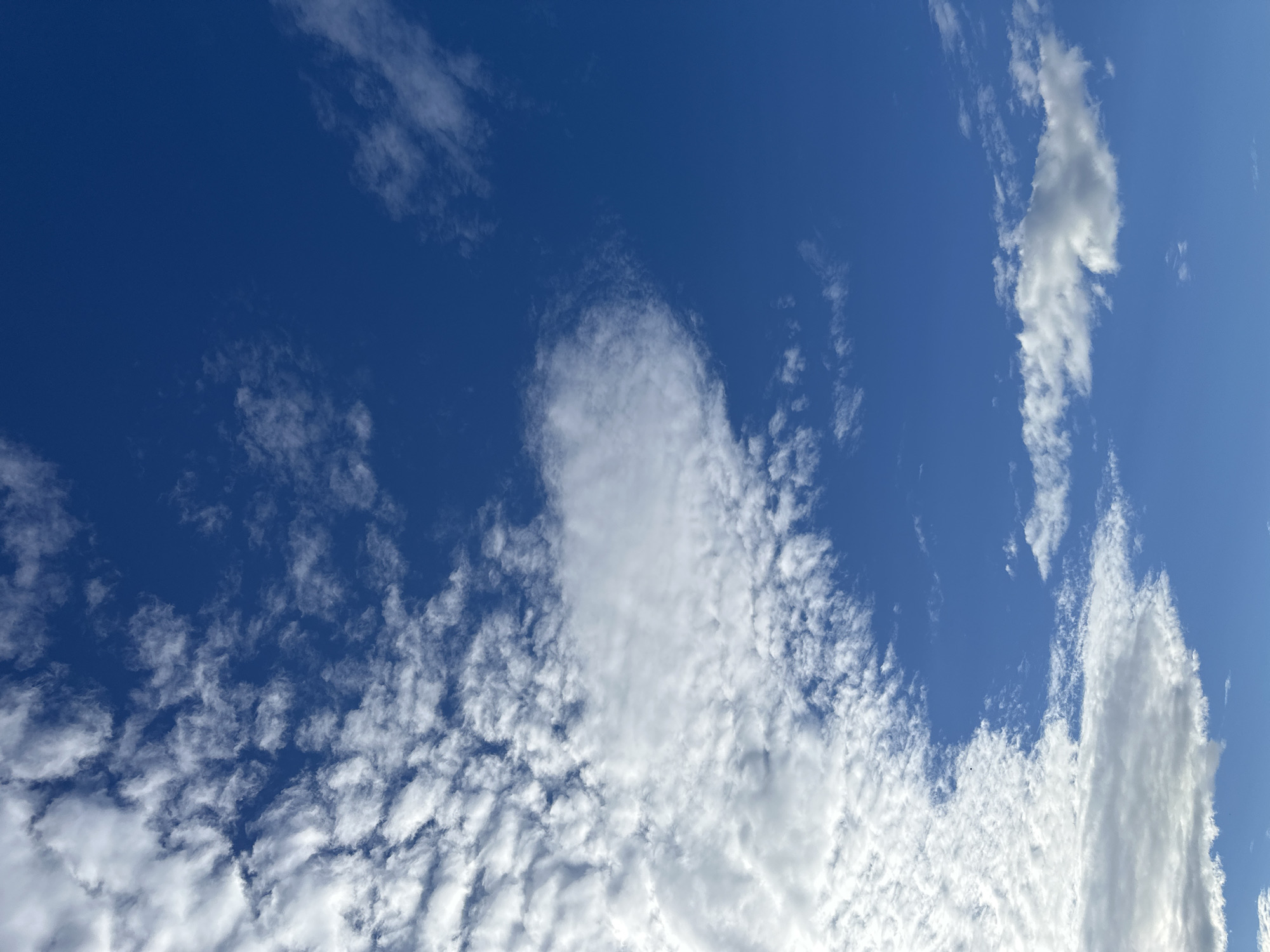 The media file displays a wide-angle view of a bright blue sky filled with scattered white clouds. The clouds vary in size and density, with some appearing as wispy streaks and others as fluffy formations. In the lower left portion of the image, a dense layer of smaller, textured clouds is visible. Towards the center and right, larger, more distinct clouds dominate the frame, some with defined edges and others dissolving into the blue. The lighting suggests it is daytime, with the sun likely positioned above and to the right of the frame, illuminating the clouds from the side. There are no discernible objects, people, or structures within the frame, making the sky the sole subject. The overall mood is serene and expansive, characteristic of a clear day with some cloud cover. No text is visible in the image.