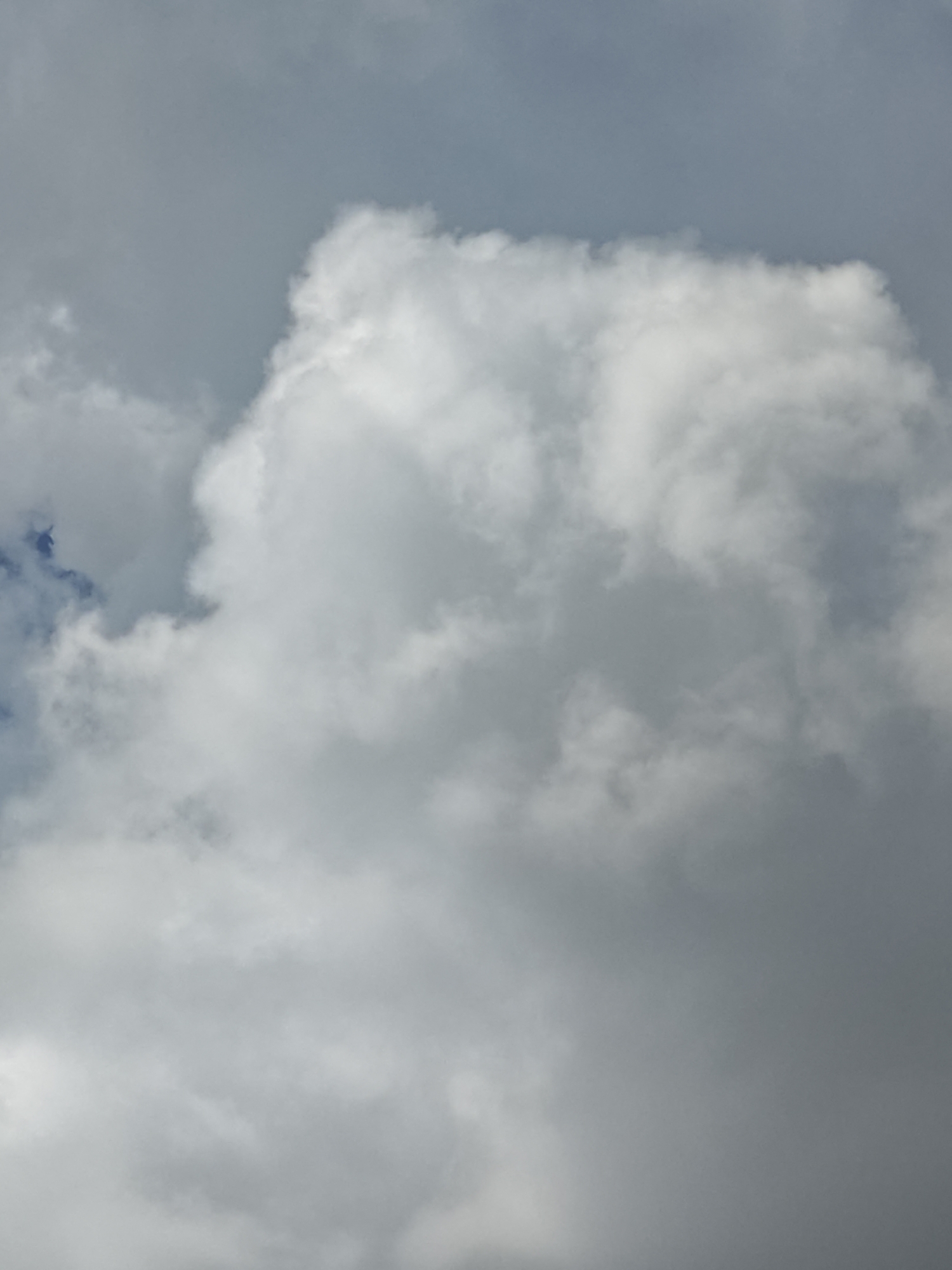The image shows a cloudy sky over the city of Shcherbinka, Russia. The clouds are white and gray, with some appearing fluffy and others more diffuse. The sky is overcast, suggesting it might be a cloudy day. No people or objects are visible in the image, only the sky and clouds.