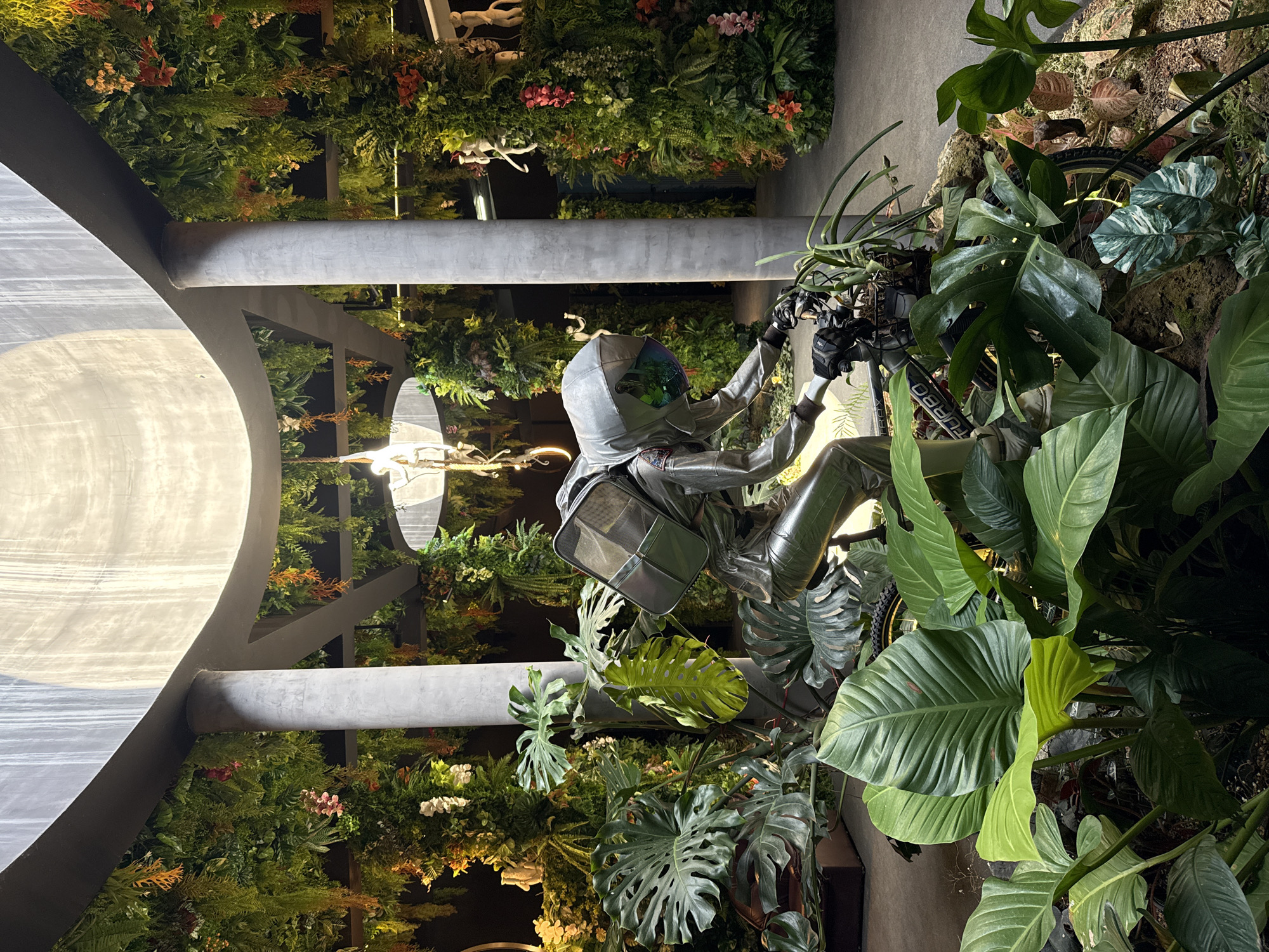 This image captures a unique art installation in the city of Ko Samui, Thailand. The scene features a full-body sculpture of a person in a silver astronaut suit, seated on a bicycle. The sculpture is positioned amidst an abundant display of lush greenery, including large-leafed plants like Monstera and various hanging ferns, creating a jungle-like atmosphere.
The backdrop consists of a modern architectural structure with a curved, concrete ceiling and large, grey cylindrical columns. The walls are adorned with dense artificial foliage, interspersed with colorful artificial flowers and some decorative monkey figures hanging from the ceiling. The lighting appears to be a mix of natural light filtering from above and artificial light sources, casting shadows and highlighting the textures of the plants and the sculpture. The overall environment suggests an indoor botanical or exhibition space designed to evoke a sense of otherworldly exploration.