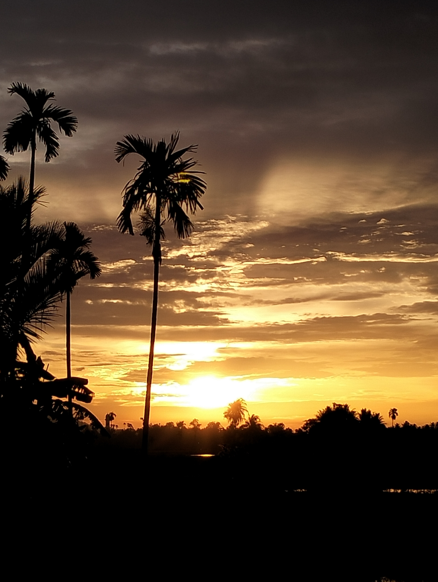 The image depicts a silhouetted landscape at sunset, likely in Meunasahalue, Indonesia, given the presence of palm trees. The sky is filled with dramatic clouds, illuminated by the warm glow of the setting sun. The sun itself is a bright, almost blinding orb positioned slightly to the right of the center of the image, casting a golden light across the horizon. In the foreground, the dark silhouettes of various tropical trees, including palm trees and banana trees, create a stark contrast against the vibrant sky. The silhouettes suggest a dense vegetation typical of a tropical environment. The lower portion of the image is almost entirely black, indicating the land area or possibly water bodies in shadow. The clouds are varied, with some appearing dark and heavy, while others are thin and wispy, catching the light in streaks and bands. A subtle beam of light appears to emanate upwards from behind the clouds on the left side of the frame. The scene is tranquil and evokes the natural beauty of a tropical sunset.