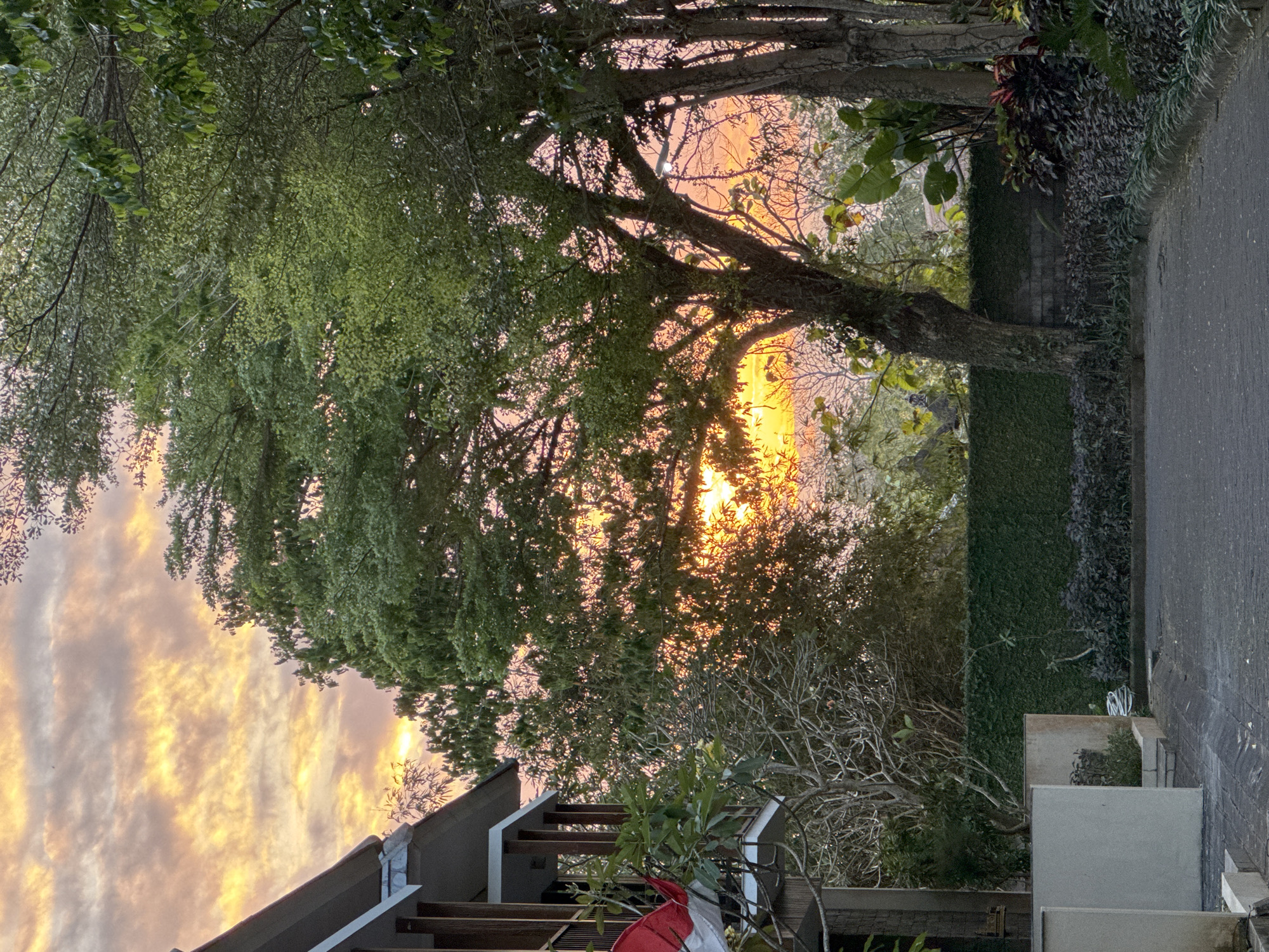The image depicts a serene outdoor scene in Kuta Selatan, Indonesia, during a sunset. The sky is illuminated with vibrant hues of orange and yellow, with scattered clouds adding texture to the twilight canvas. In the foreground, a paved driveway leads towards a lush garden area. A neatly trimmed green hedge forms a boundary, behind which various plants and trees create a verdant backdrop.
To the left of the frame, a portion of a building is visible, characterized by its wooden pillars and a balcony. A red and white flag, likely the Indonesian flag, is draped over the balcony railing. The building's architecture suggests a tropical or resort setting.
The dominant natural elements are the trees, with their branches and leaves creating a natural canopy that partially obscures the setting sun. The light filtering through the foliage creates a dappled effect, adding depth and visual interest to the scene. The overall atmosphere is one of tranquility and natural beauty, characteristic of the Kuta Selatan region.