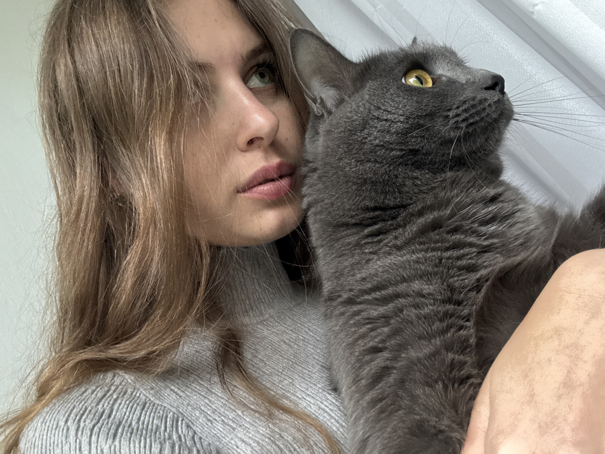 A fair-skinned woman with light brown hair is holding a gray cat. The woman is wearing a gray turtleneck sweater. The cat has yellow eyes and is looking to the upper right. The background is a white curtain. The image was taken indoors. The location in the city of Прикамский, Russia is not evident in the image.