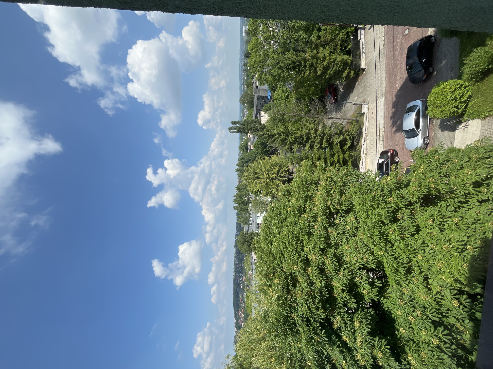 This image presents a vibrant, sunlit, overhead view of an urban or suburban landscape. The scene is dominated by a clear blue sky, dotted with numerous fluffy white cumulus clouds, occupying roughly half of the frame on the upper left.
The foreground and right side of the image are filled with lush green foliage from various trees and bushes, suggesting a dense canopy or garden area. Some of these bushes appear to have small, light-colored flowers or berries. The perspective indicates the photo was taken from a raised vantage point, such as a balcony or upper floor, looking down and across the area.
In the mid-ground, a paved road or driveway, constructed with light-colored bricks or paving stones, winds through the green spaces. Several vehicles are parked along or near this path: a dark-colored SUV or sedan, a silver sedan, another dark-colored car (possibly a hatchback), and a partially visible yellow car. A red car is also discernible further in the distance, nestled among trees. Concrete steps and walkways are also visible adjacent to the paved area.
The background reveals a sprawling panorama of more trees and buildings, extending towards a distant, slightly hazy horizon. Some buildings in the distance appear to be residential, with a few featuring visible solar panels on their roofs. The overall impression is one of a well-established residential area with ample green space.
The time of day is bright daylight, indicated by the strong sunlight, clear sky, and distinct shadows cast by the trees and buildings. The weather appears pleasant and sunny. No people or visible text are present in the image.