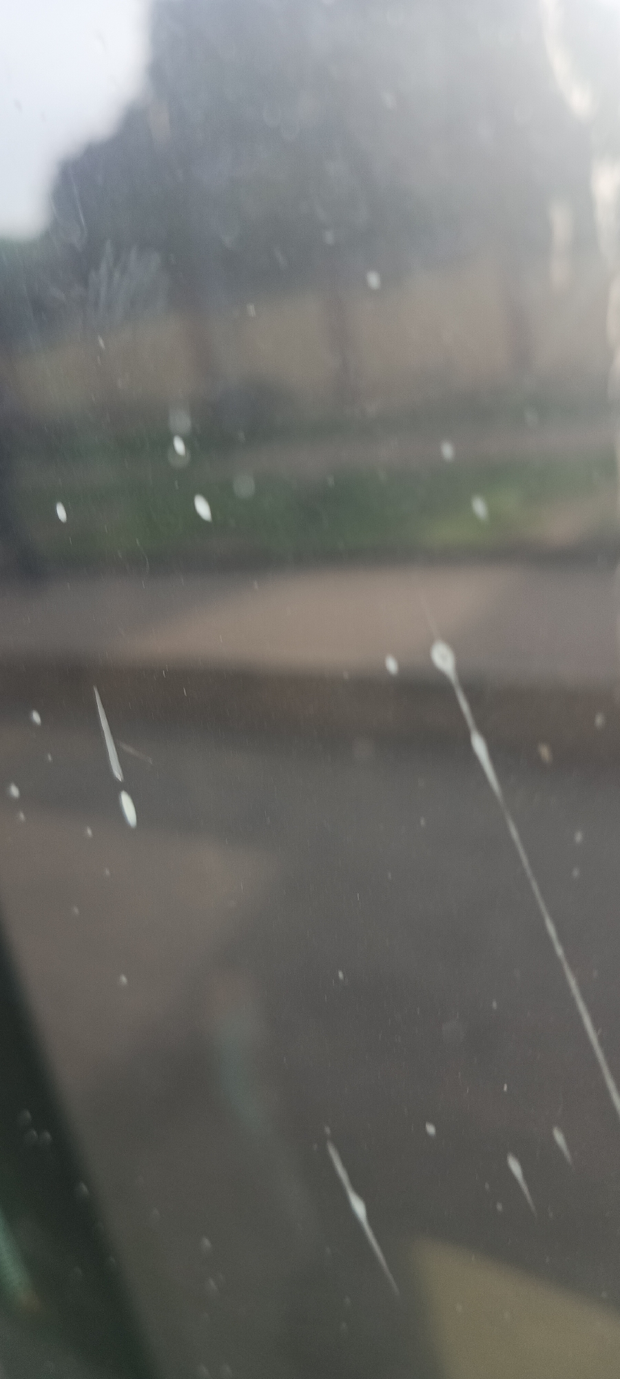 The image displays a close-up, out-of-focus view through what appears to be a window or glass surface. The primary subjects are numerous white spots and streaks adhering to the glass, suggesting bird droppings or dried water marks. These marks vary in size and shape, with some being small, distinct dots and others forming elongated, irregular lines, implying a liquid substance that has dried or run down the surface.
The background visible through the glass is heavily blurred and out of focus, rendering specific details indistinguishable. It shows indistinct areas of muted green, likely representing foliage or grass, and shades of grey and brown, possibly indicating ground, distant structures, or an overcast sky. The overall impression is that of an outdoor scene viewed from indoors or through a vehicle window.
No people or discernible objects are visible in the blurry background. No specific activity is depicted, as it is a static shot of a surface. The lighting suggests it is daytime, but the exact time of day or weather conditions are not discernible due to the blurry nature of the background and the potential for overcast conditions. There is no visible text in the image.
