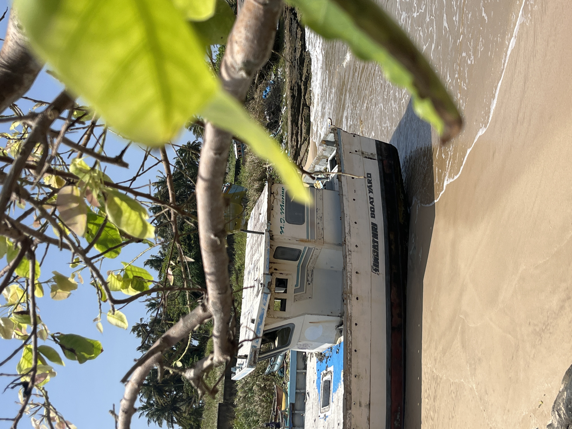 In Dondra, Sri Lanka, a partially obscured, weathered white boat with visible rust and peeling paint rests on a sandy beach. The boat, identified by the faded lettering "M.D. Marine" on its cabin and "SINGATHRI BOAT YARD" on its hull, is positioned at the edge of the water. The sea is calm with gentle waves lapping at the shore. Palm trees and lush green vegetation line the background, with a rocky outcrop visible further down the coast. The scene is framed by the branches and leaves of a tree in the foreground, creating a dappled effect with sunlight filtering through. The sky is a clear blue.