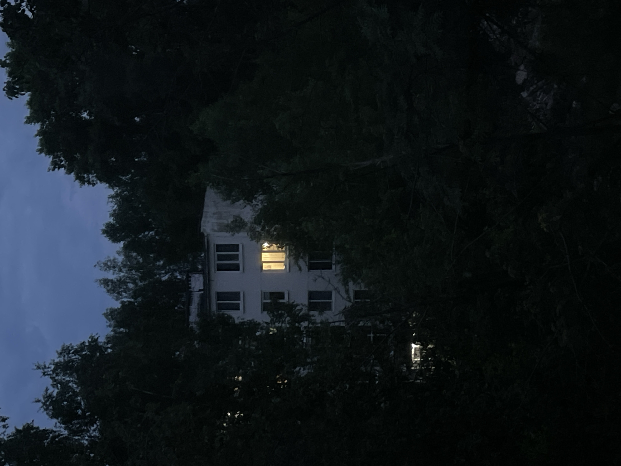A low-angle shot captures an off-white, multi-story building partially obscured by trees. The sky is a dusky blue. Several windows are visible on the building, with two emitting light. The trees surrounding the building are dark green and appear to be obscuring the view. The location is in an unidentified city. The photo was taken at night.