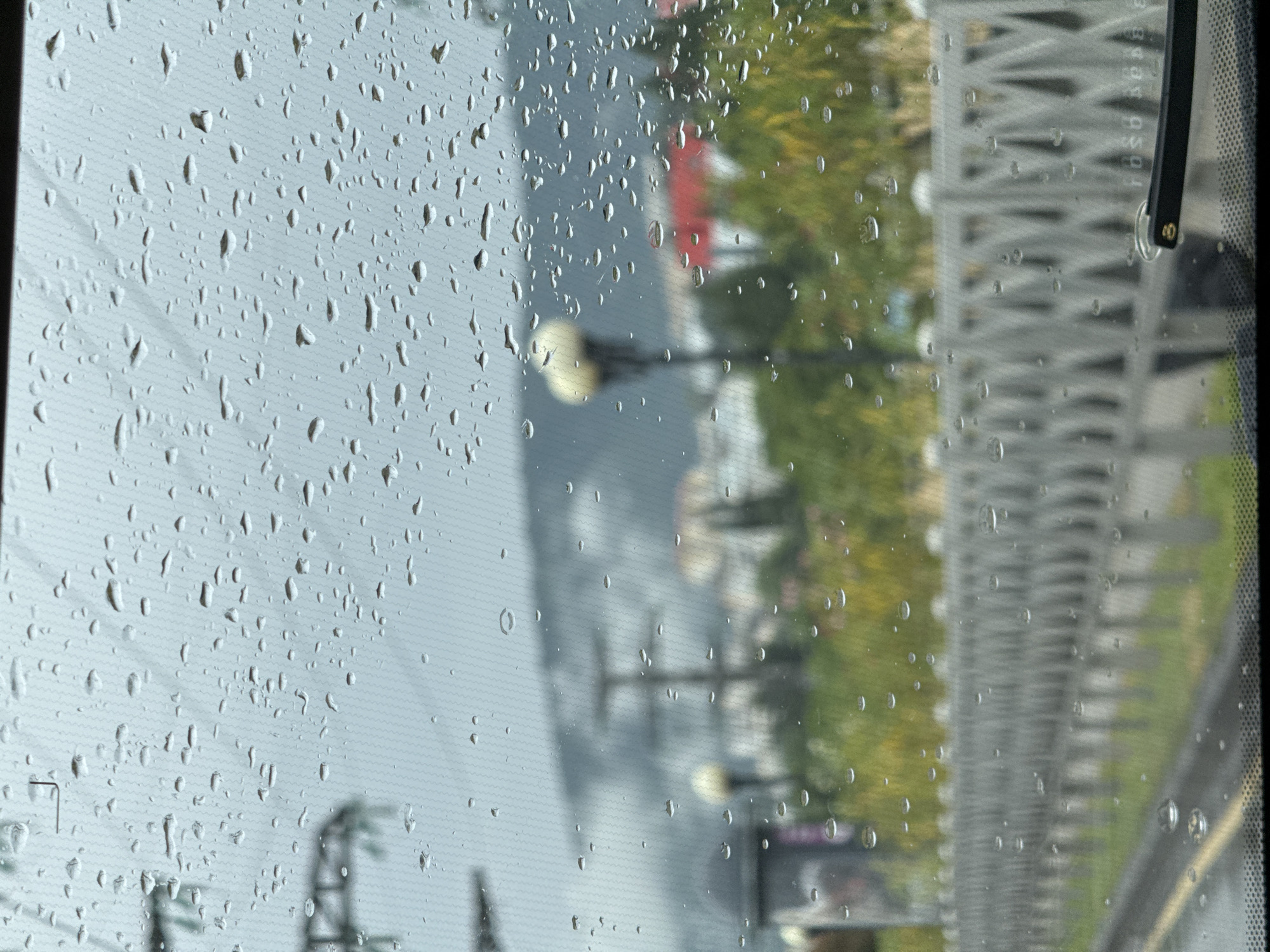The image depicts a view through a rain-streaked car windshield, looking out onto a street in Sochi, Russia. The foreground is dominated by numerous raindrops of various sizes distorting the view. A light-colored, patterned railing runs horizontally across the middle ground, separating the road from a grassy area with trees. In the background, blurred buildings and streetlights are visible, suggesting an urban or suburban setting. The sky appears overcast, consistent with rainy weather. The time of day is indeterminate due to the low light conditions. The overall impression is one of a damp and slightly melancholic atmosphere characteristic of rainy weather in a coastal city.