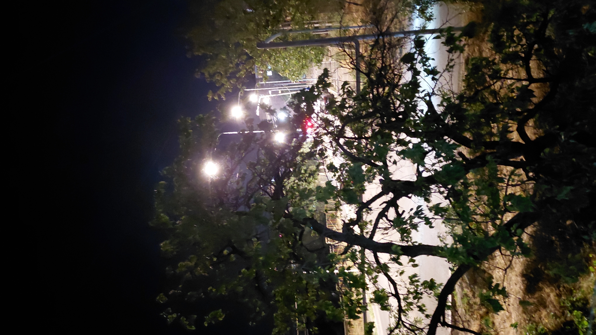 The image depicts a nighttime scene in Abovyan, Armenia. A large tree with dark branches and green leaves dominates the foreground, partially obscuring the view of a street with streetlights and passing vehicles. The streetlights cast a yellowish glow on the road and surrounding vegetation. In the background, there appears to be a residential area or commercial buildings. The overall atmosphere is dark, illuminated by artificial lights, suggesting an urban environment at night.