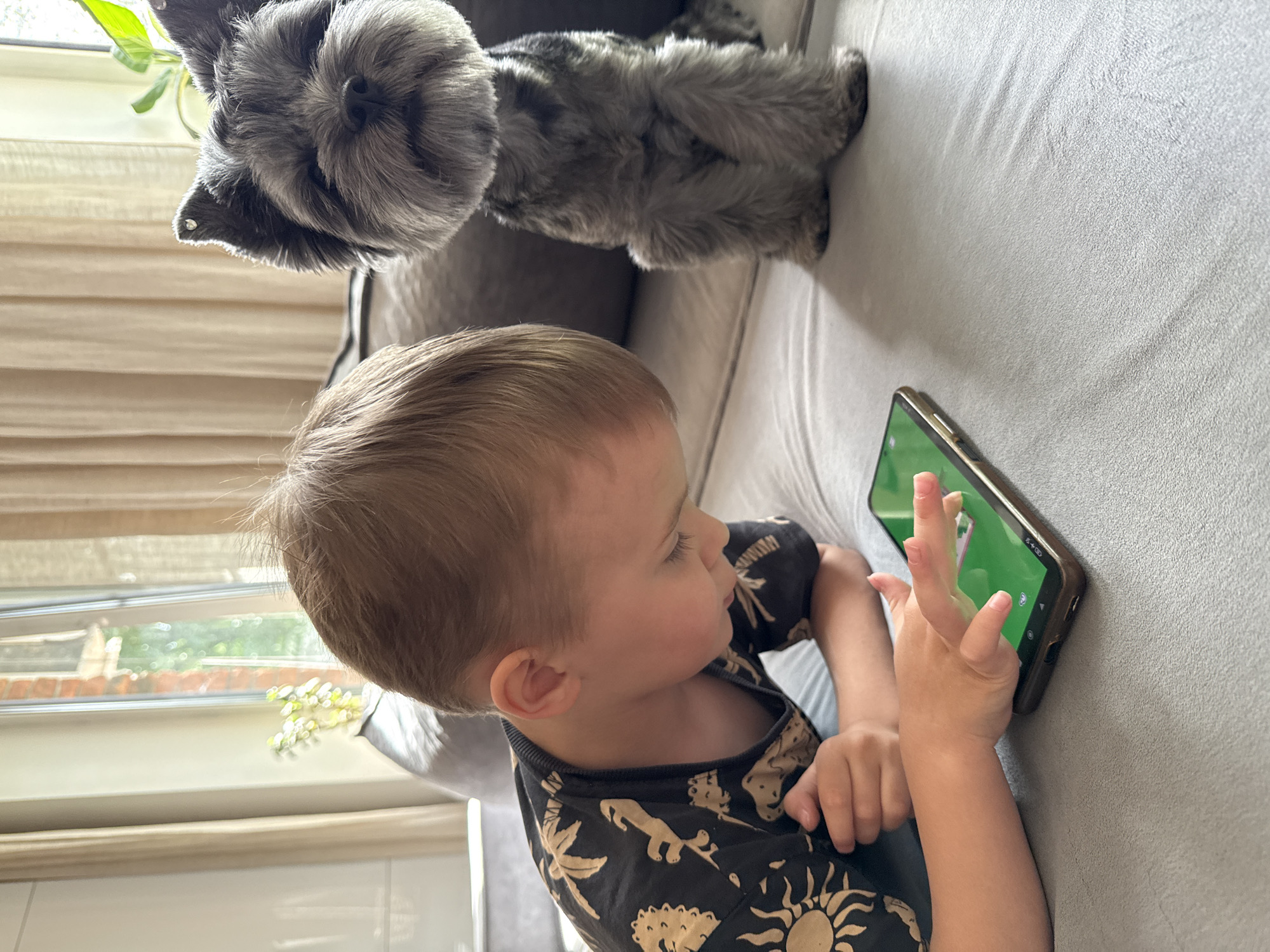 A young boy with blond hair is lying on a gray couch, looking at a smartphone with a green screen. His left hand is resting on the phone, with his index finger touching the screen. He is wearing a black t-shirt with a beige palm tree print. Next to him, a small gray dog with a neatly trimmed coat sits upright, facing the camera. The dog has upright ears adorned with small sparkling accessories. The background consists of a window with sheer beige curtains and a glimpse of greenery outside. The overall setting appears to be an indoor living space, possibly a living room, with natural light streaming in. The image does not contain any elements that would indicate a specific location in Chaikovsky, Russia.