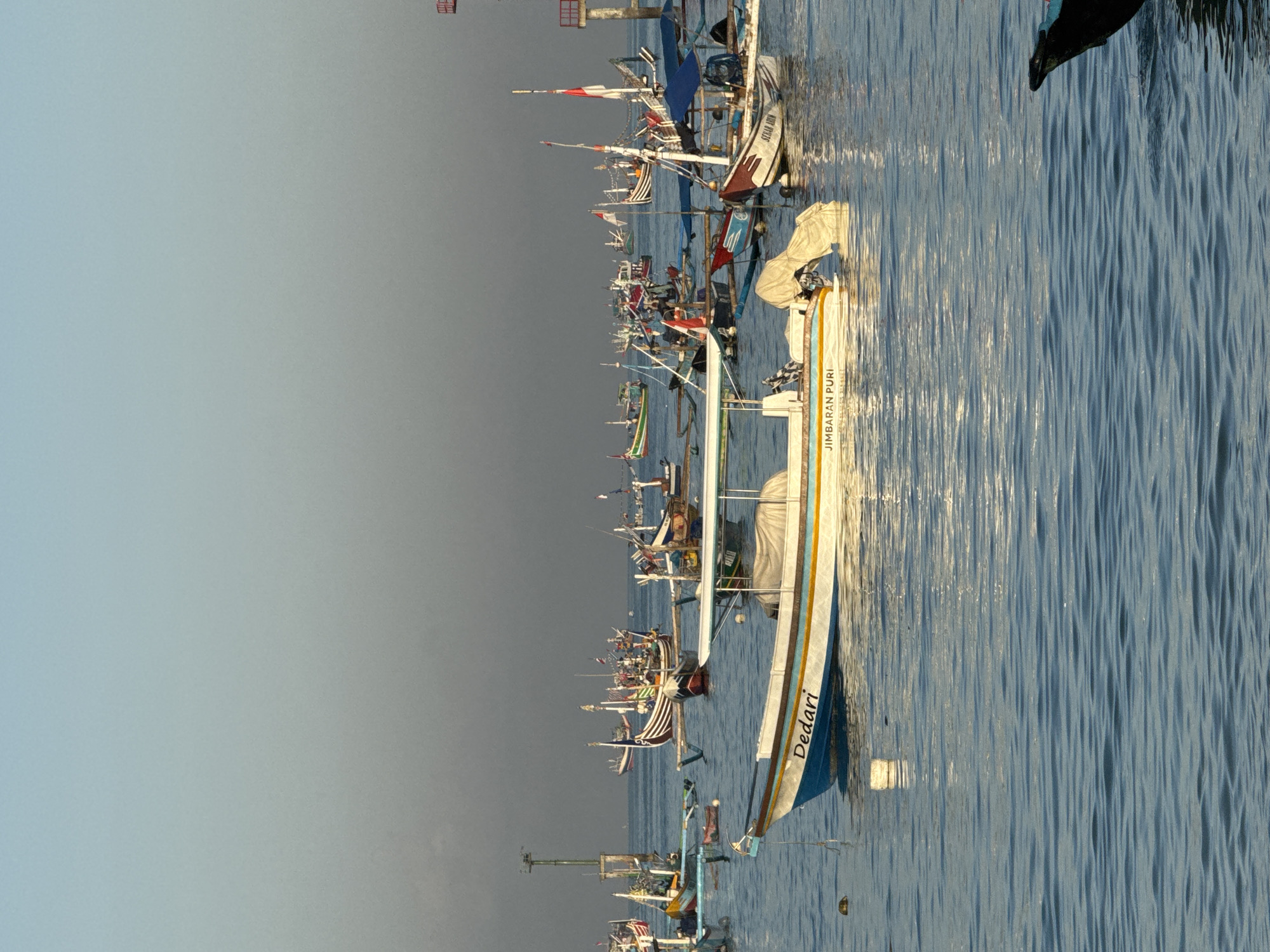 The image depicts a serene marine scene in Kuta, Indonesia, likely at sunrise or sunset given the soft lighting and calm waters. The foreground features a white and blue boat with the name "Dedari" inscribed on its side. Another boat, partially visible, has the text "JIMBARAN PURI" on its hull. Both boats are anchored or drifting in the tranquil, blue-hued water, which shows gentle ripples reflecting the sky's soft gradient of blue and grey.
The midground and background are populated by a multitude of traditional Jukung fishing boats, characterized by their outriggers and colorful decorations. These boats are densely clustered, suggesting a busy harbor or fishing ground. Many of them are adorned with flags, including Indonesian flags, and what appear to be religious or decorative banners, adding a festive touch to the scene. In the distance, a navigational tower or lighthouse can be seen, marking the coastline. The overall atmosphere is one of peaceful coexistence between human activity and the natural environment, with the boats serving as the focal point against the muted tones of the sky and sea.