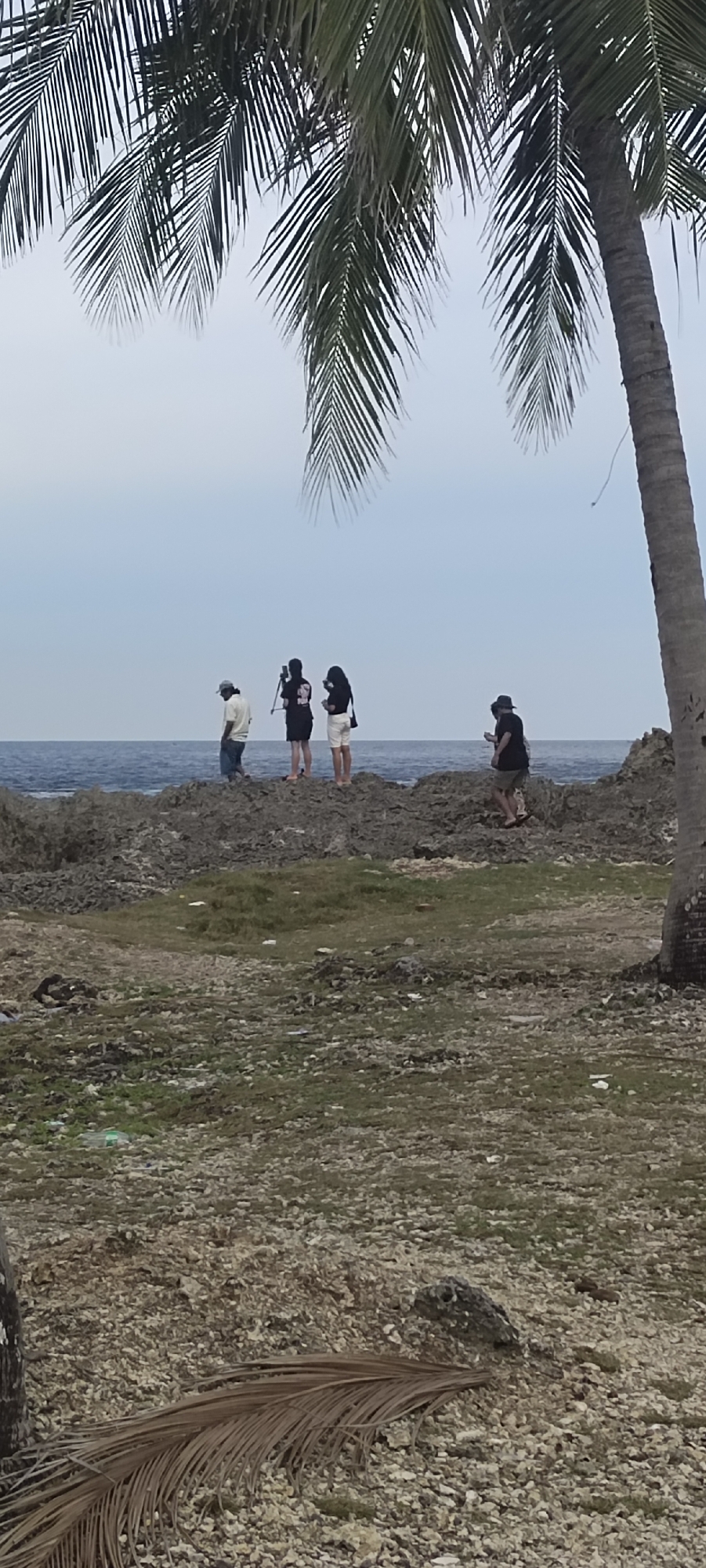 In Sabang, Indonesia, four individuals stand on a rocky shoreline, overlooking a calm ocean under a cloudy sky. A palm tree with long, drooping fronds dominates the foreground, its trunk visible on the right. The ground is covered in rough, light-colored rocks and patches of dry, sparse vegetation. The individuals are spaced apart on the rocks. From left to right, the first person wears a light-colored shirt and dark pants, looking downwards. The second person, a female, is dressed in black and holds a camera on a tripod, facing the ocean. The third person, also female, wears a black top and white shorts. The fourth person, wearing a dark hat, dark shirt, and shorts, is positioned further to the right, looking down at their phone. The water appears dark blue and extends to the horizon. The overall scene suggests a quiet, overcast day at a coastal location.