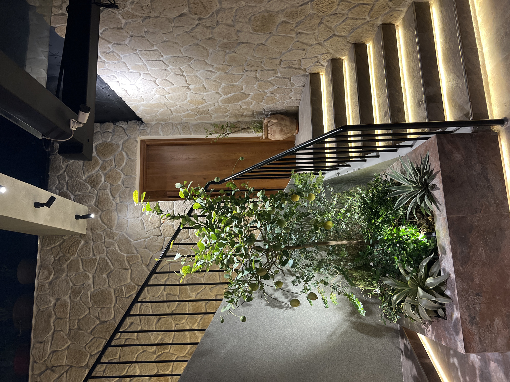 The image depicts an interior scene with a focus on architectural elements and landscaping. A stone-clad wall, likely made of sandstone, forms the backdrop. A wooden door is visible in the middle ground. A stairway with black metal railings ascends, passing by a planter filled with greenery. A small fruit tree with visible fruits stands prominently within the planter. The lighting is a mix of natural and artificial, with vertical strip lights illuminating the stairs and highlighting the stone texture. The architectural style is modern and possibly located in the city of Nha Trang Ward, Vietnam, as implied by the metadata. No people are visible.