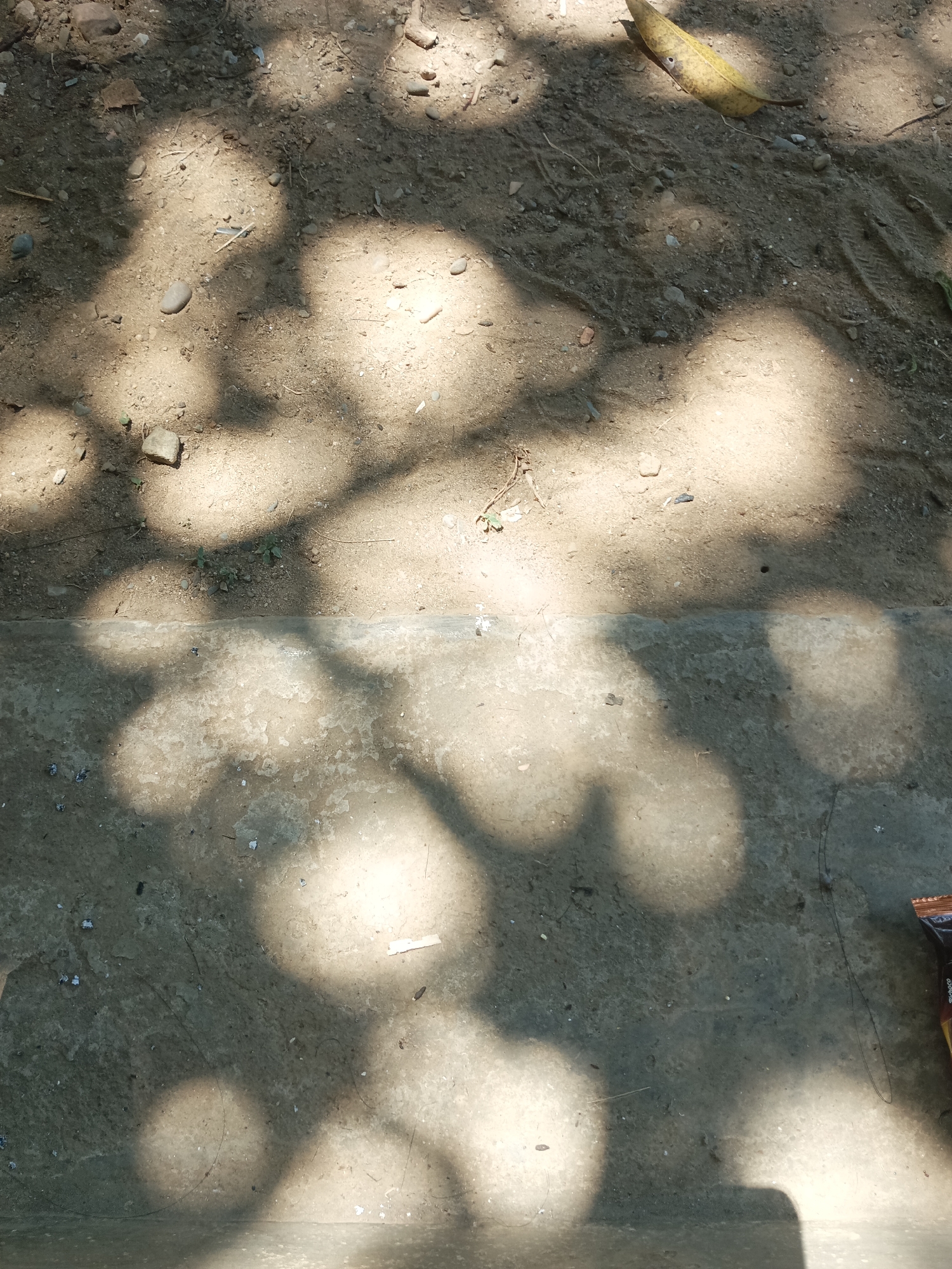 The image depicts an outdoor scene with a distinct division between dirt and concrete surfaces, separated by a low concrete curb. The dirt area, situated in the upper portion of the frame, is composed of loose soil, small stones, and debris, with shadows of foliage cast upon it. A single dried leaf rests in the upper right quadrant of this dirt section, and subtle tire tracks are visible. The lower part of the image shows a weathered concrete surface, also speckled with small particles and debris, with similar dappled shadows. The lighting suggests a sunny day, with harsh shadows indicating the presence of overhead foliage. The scene appears to be located in a somewhat unkempt outdoor area, possibly a pathway or a yard, in Pitue, Indonesia, given the contextual information. There are no people or active interactions visible in the image.