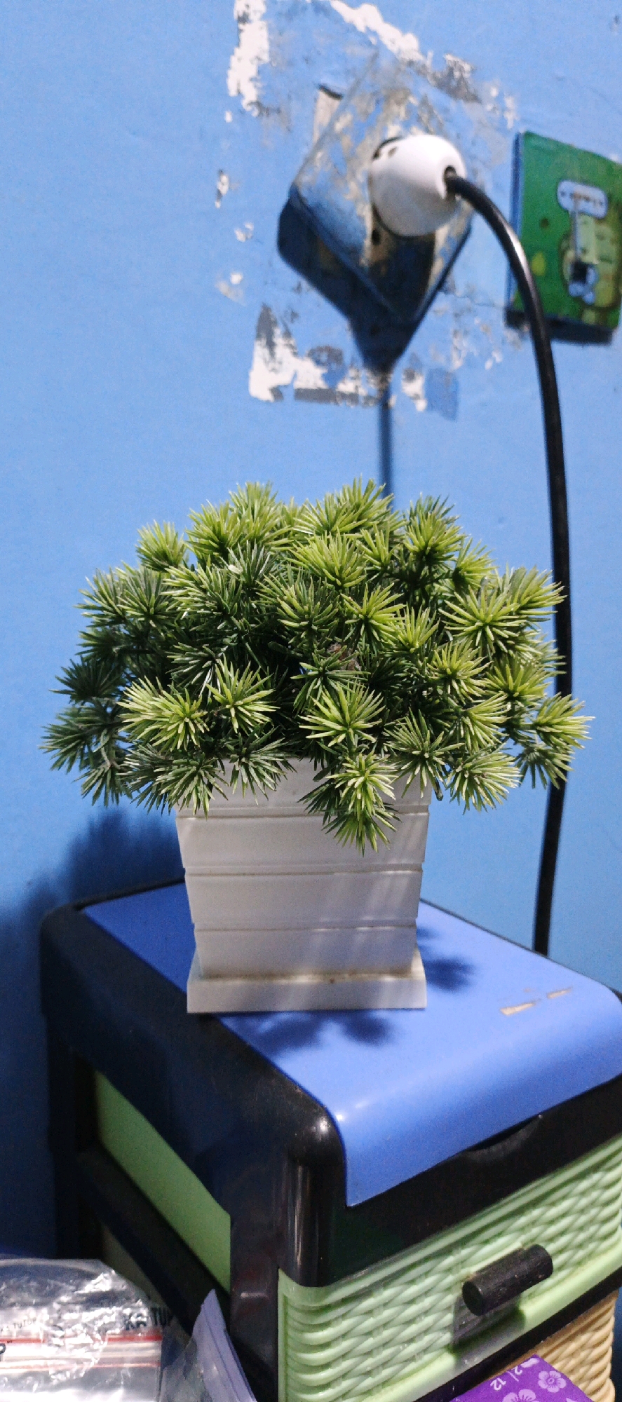 A small, potted artificial plant with bright green, spiky leaves sits on top of a blue and black plastic organizer. The organizer has green and beige drawers. In the background, a blue wall has peeling paint and an electrical outlet with a white plug and black cord. The scene appears to be indoors, possibly in a room in Moyudan, Indonesia, based on the provided information.