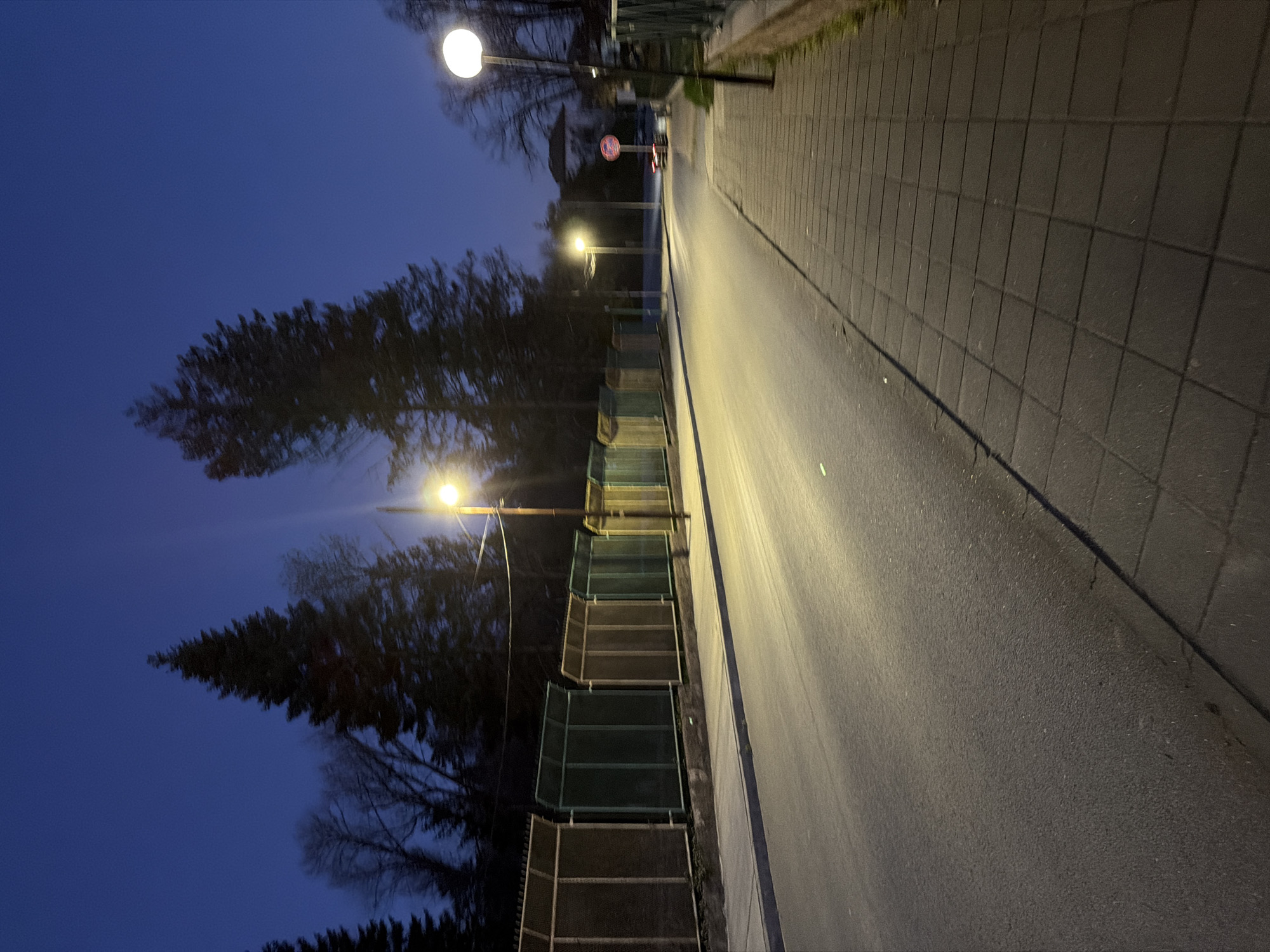 The image depicts an outdoor scene at night in Panagyurishte, Bulgaria. The foreground shows a paved road and a sidewalk made of rectangular tiles. Streetlights illuminate the road, casting a strong light on the pavement. The road has a smooth, dark surface. A fence runs parallel to the road on the left side. Beyond the fence, trees are silhouetted against a dark blue sky. The overall lighting suggests that it is late evening or early night. A round red and white traffic sign is seen further down the road. There is no evidence of any people in the scene.