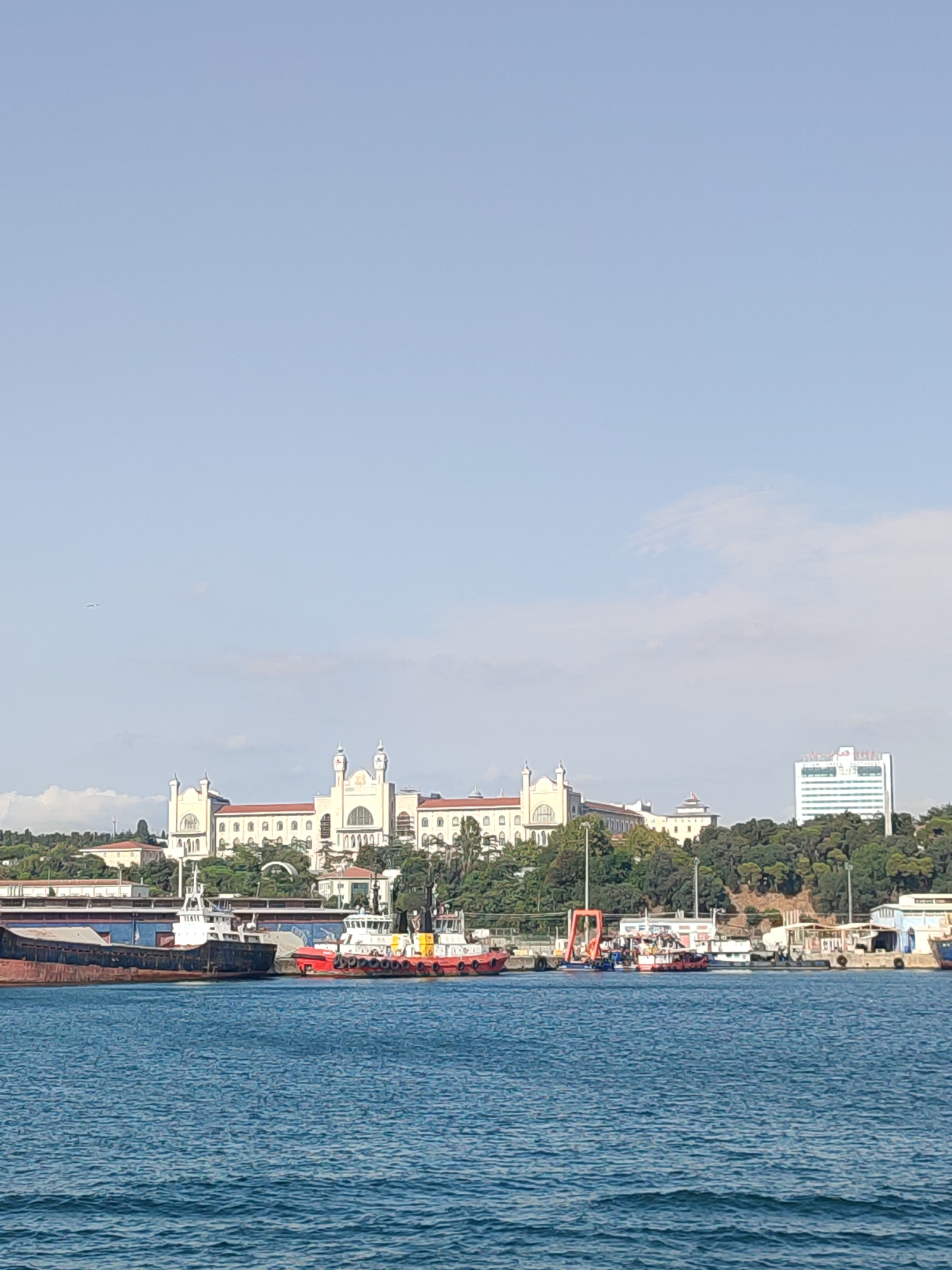 The image captures a waterfront view of a city under a clear blue sky. In the foreground, a body of blue water with gentle ripples occupies the bottom portion of the frame. Moored along the waterfront are several vessels, including a large, dark-colored cargo ship on the left, and several smaller tugboats and workboats positioned to its right. These boats are colorful, with red and white being prominent.
In the middle ground, a waterfront area is visible, with docks and buildings. A prominent building with a light-colored facade and red-tiled roofs dominates the mid-ground. This structure features multiple windows and architectural details like domes and arched doorways, suggesting a historical or institutional significance. To the right of this building, on a higher elevation, a modern white high-rise building with green horizontal accents is visible. The area surrounding these buildings is densely covered with lush green trees.
The scene appears to be a busy port or harbor area. The presence of large buildings and a prominent high-rise suggests an urban environment. The style of the main building on the hill, with its distinctive architecture, points towards Istanbul, Turkey, specifically it is the Haydarpaşa Palace, which is part of the Haydarpaşa Train Station complex. The modern building on the right appears to be a hotel.