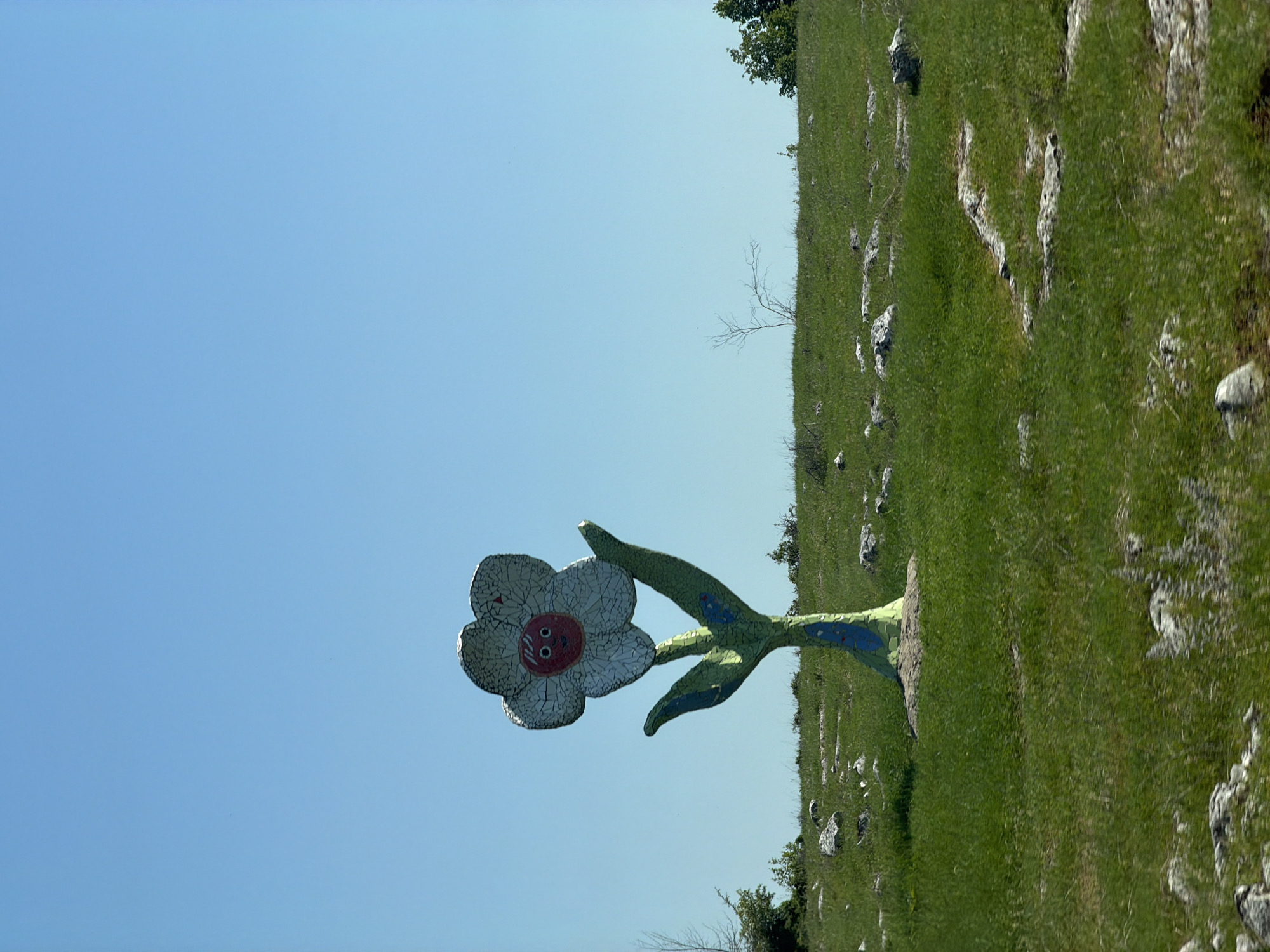 A low-angle, outdoor shot shows a mosaic flower sculpture in the city of Karlukovo, Bulgaria, set against a bright blue sky. The flower has white, cracked-tile petals and a red-and-white center, resembling a smiling face. It's supported by a green mosaic stem and leaves. The flower is positioned on a grassy field, which also features scattered white rocks. Some trees are visible along the horizon. The photograph appears to be slightly tilted.