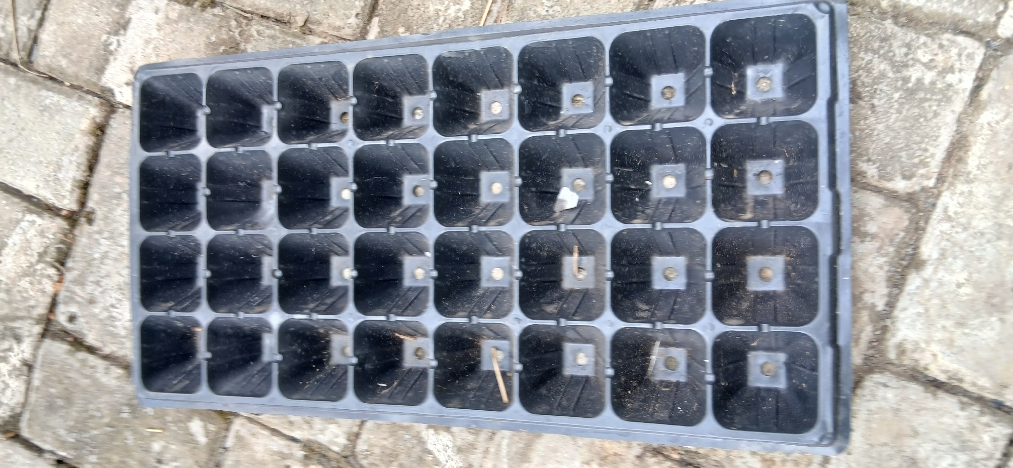 A black plastic seedling tray with 24 individual compartments lies on a paved surface composed of rectangular concrete blocks. The tray is positioned at an angle, with the top edge closest to the viewer and the bottom edge receding. Some compartments show remnants of soil and a few small, dry plant stems or debris. The paved area appears to be outdoors, possibly a walkway or patio. There are no people visible in the image. The overall impression is of an item left in an outdoor setting, likely for gardening purposes.