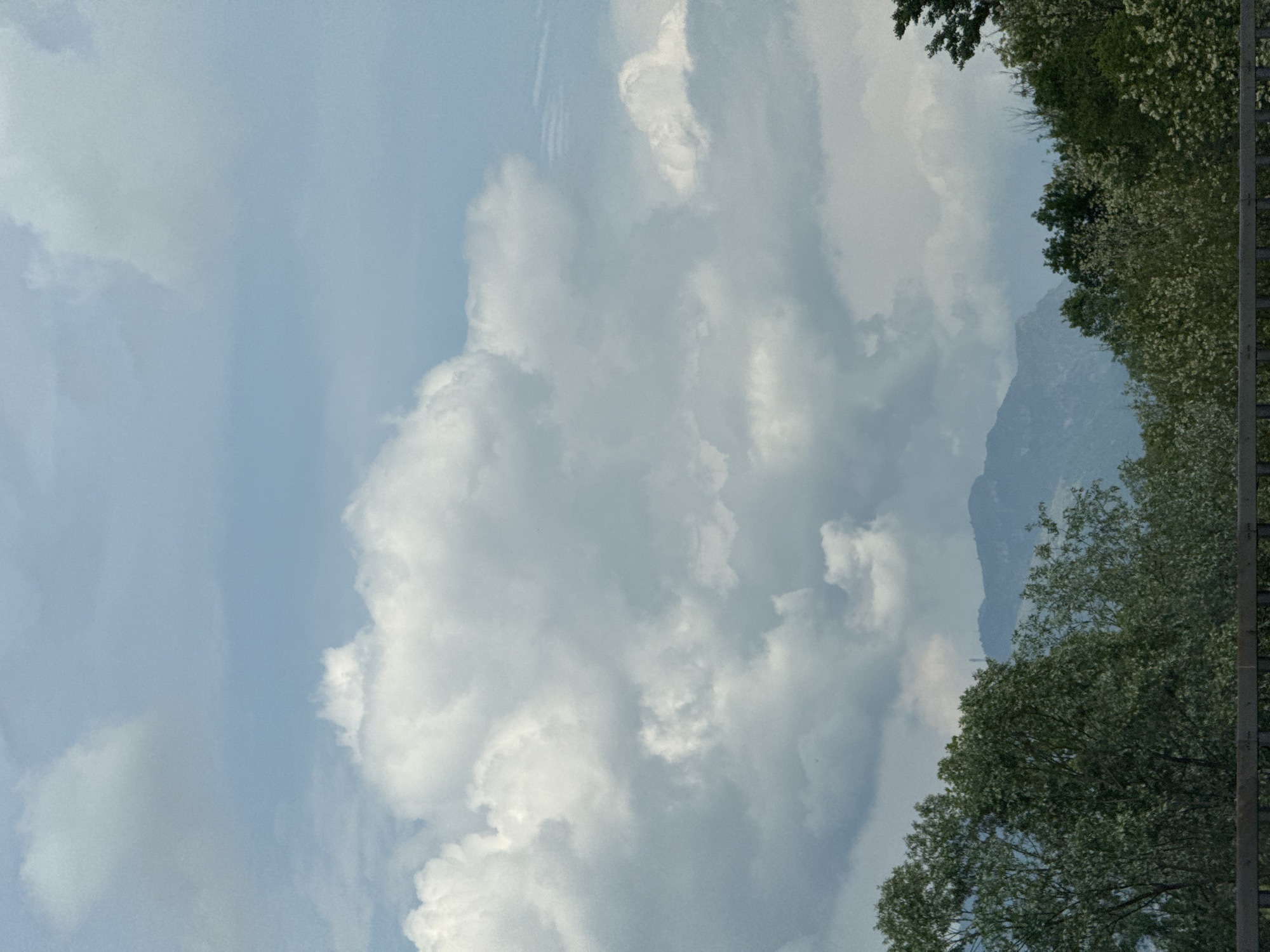 The image presents a daytime landscape dominated by a partly cloudy sky and distant mountains. The upper and left sections of the frame are filled with a light blue sky, adorned with expansive, fluffy cumulus clouds that vary in color from bright white to soft grey. The clouds are dense and volumetric, suggesting good weather with scattered cloud cover.
In the mid-ground and extending towards the right, the tops of green trees are visible, characterized by their dense foliage. Some areas of the trees show lighter speckles, possibly indicating blossoms or new growth. Behind these trees and partially obscured by the clouds, a range of hazy, blue-grey mountains rises in the background, their silhouettes softened by distance. A dark, narrow grey structure, possibly a fence or railing, runs along the extreme right edge of the frame.
The lighting indicates it is daytime, likely mid-morning or afternoon, with bright and even illumination. There are no people or specific activities depicted. No text is visible in the image. The scene captures a tranquil, natural environment, consistent with the scenic beauty found in areas like Briosco, Italy, which is nestled in a region with mountainous landscapes.